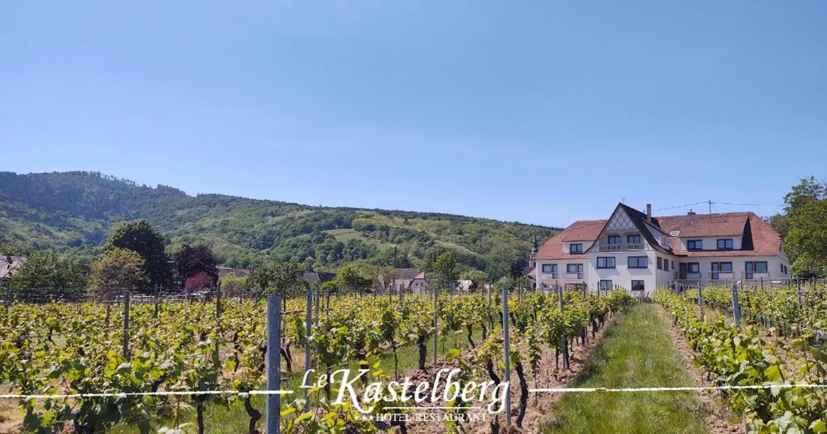 Neighbourhood in Hôtel Restaurant Le Kastelberg, The Originals Boutique