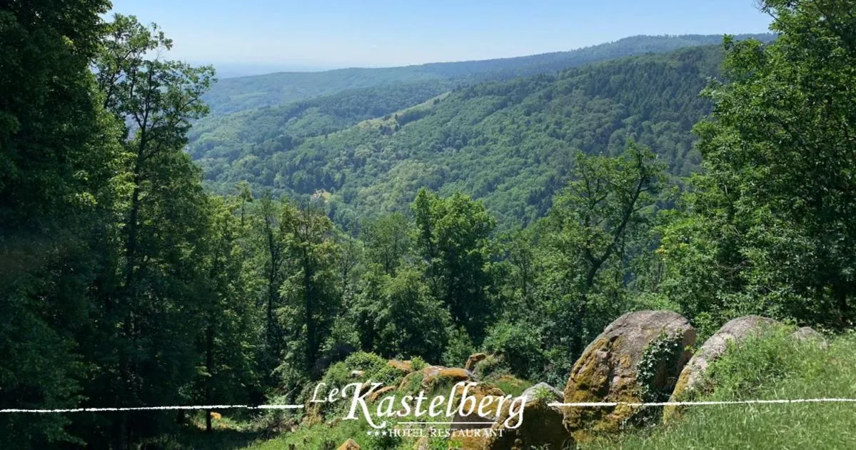 Hiking in Hôtel Restaurant Le Kastelberg, The Originals Boutique