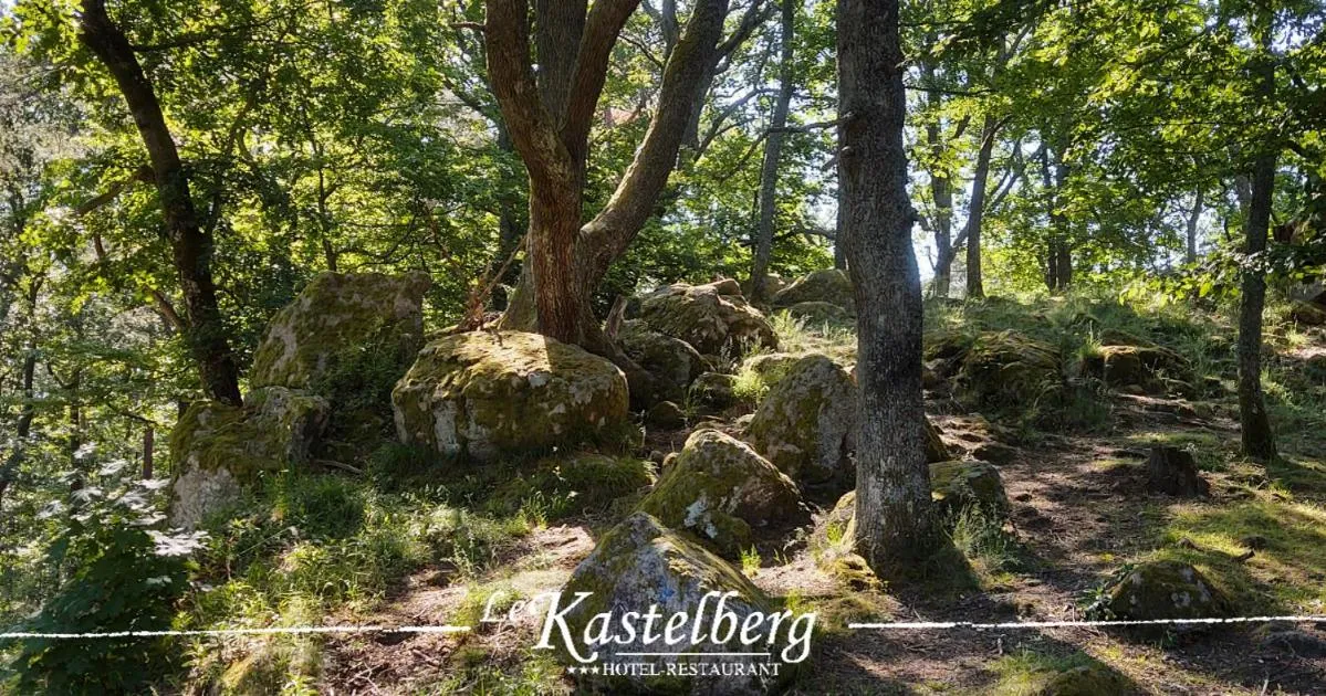 Natural landscape in Hôtel Restaurant Le Kastelberg, The Originals Boutique