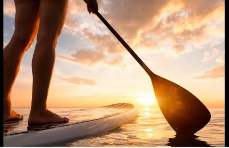 Moonshine Guest House with private studios and private cottage