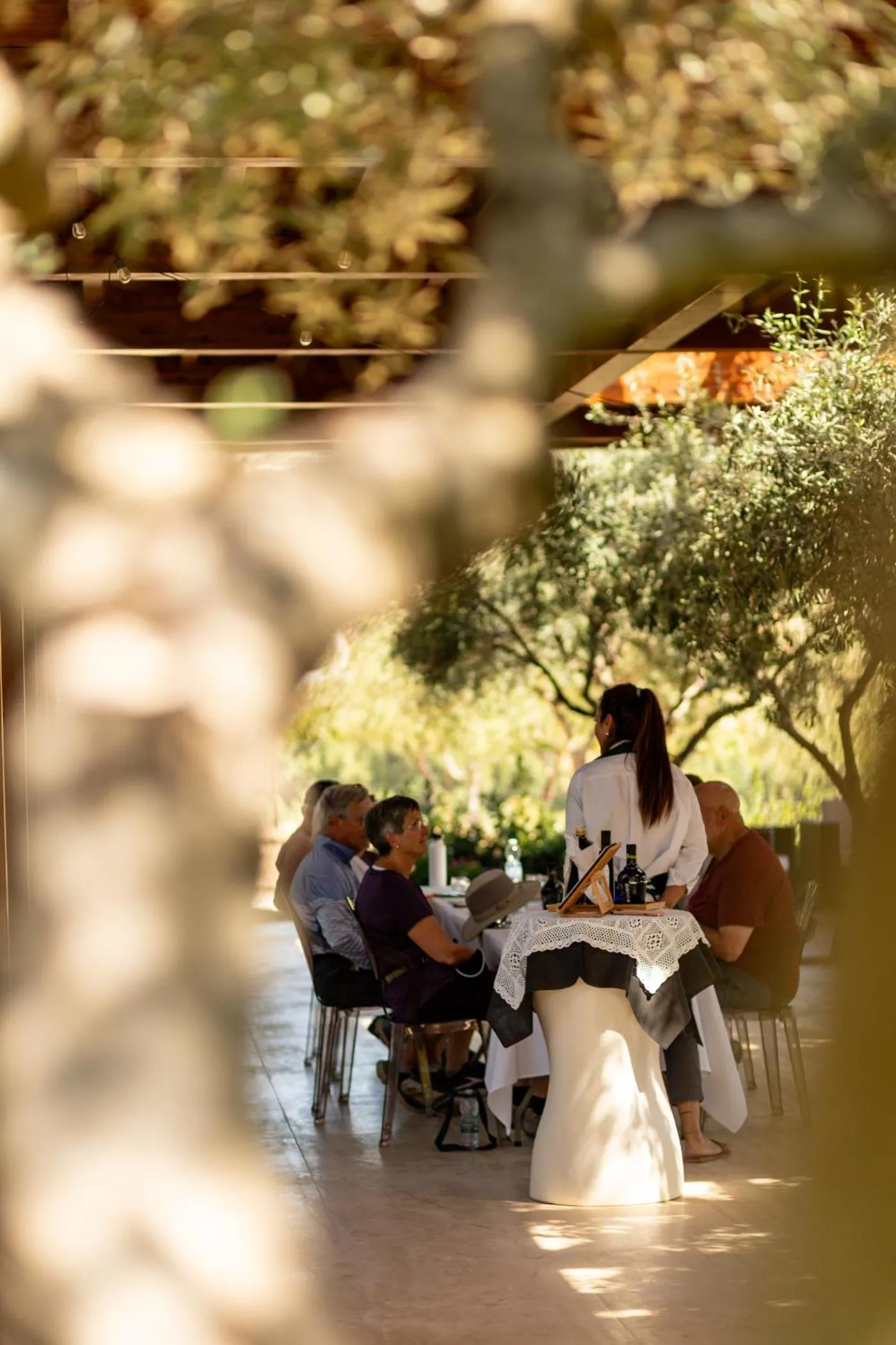 Restaurant/places to eat in Oikos in Terre di Zaccanello
