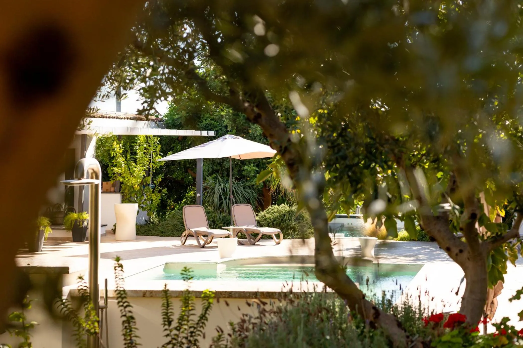 Lounge or bar in Oikos in Terre di Zaccanello