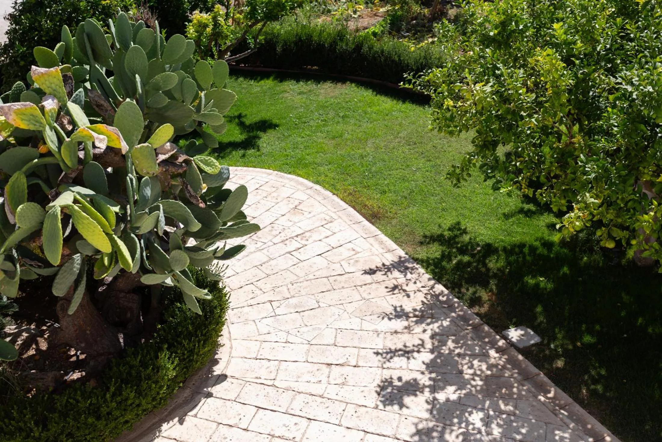Property building in Oikos in Terre di Zaccanello