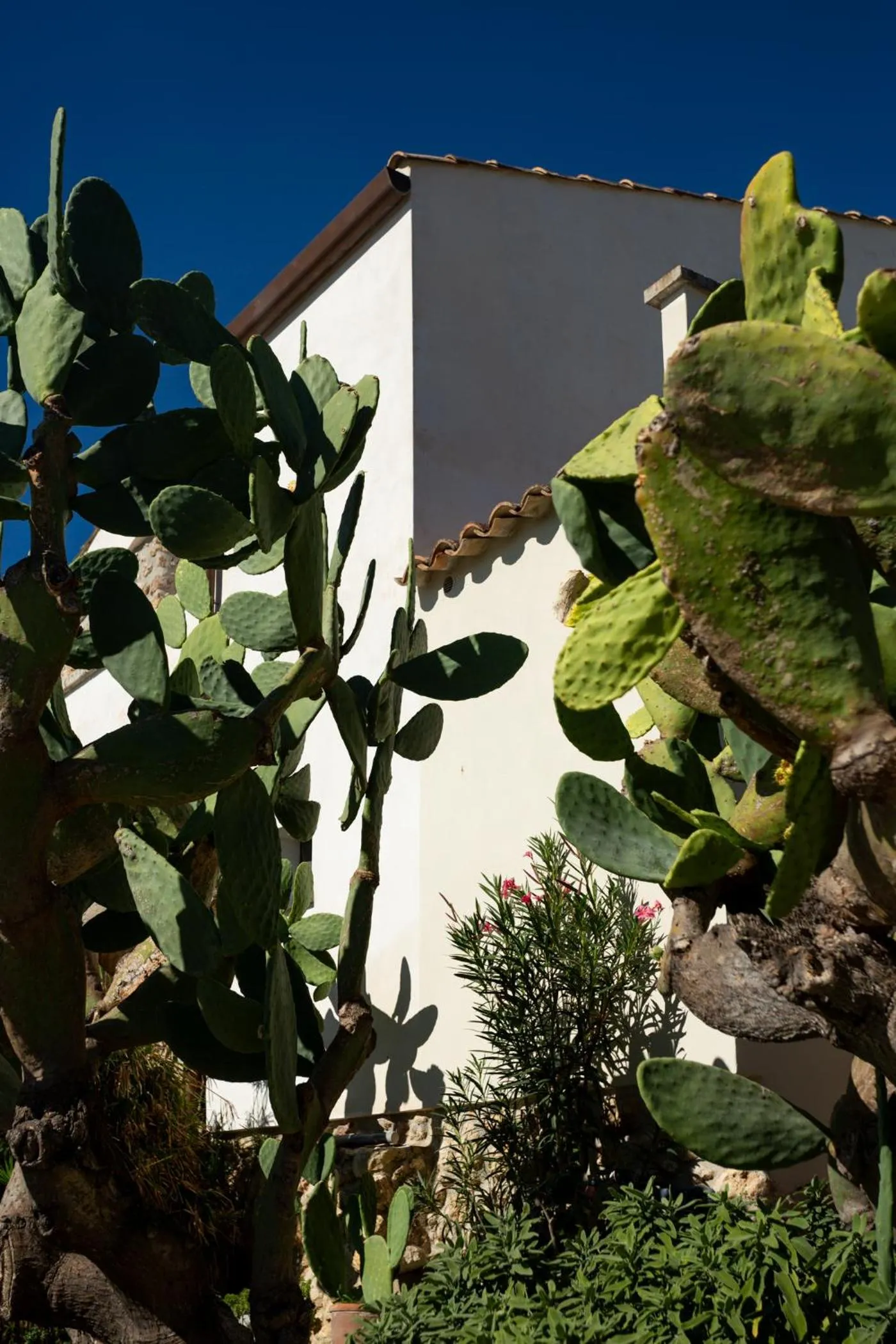 Property building in Oikos in Terre di Zaccanello