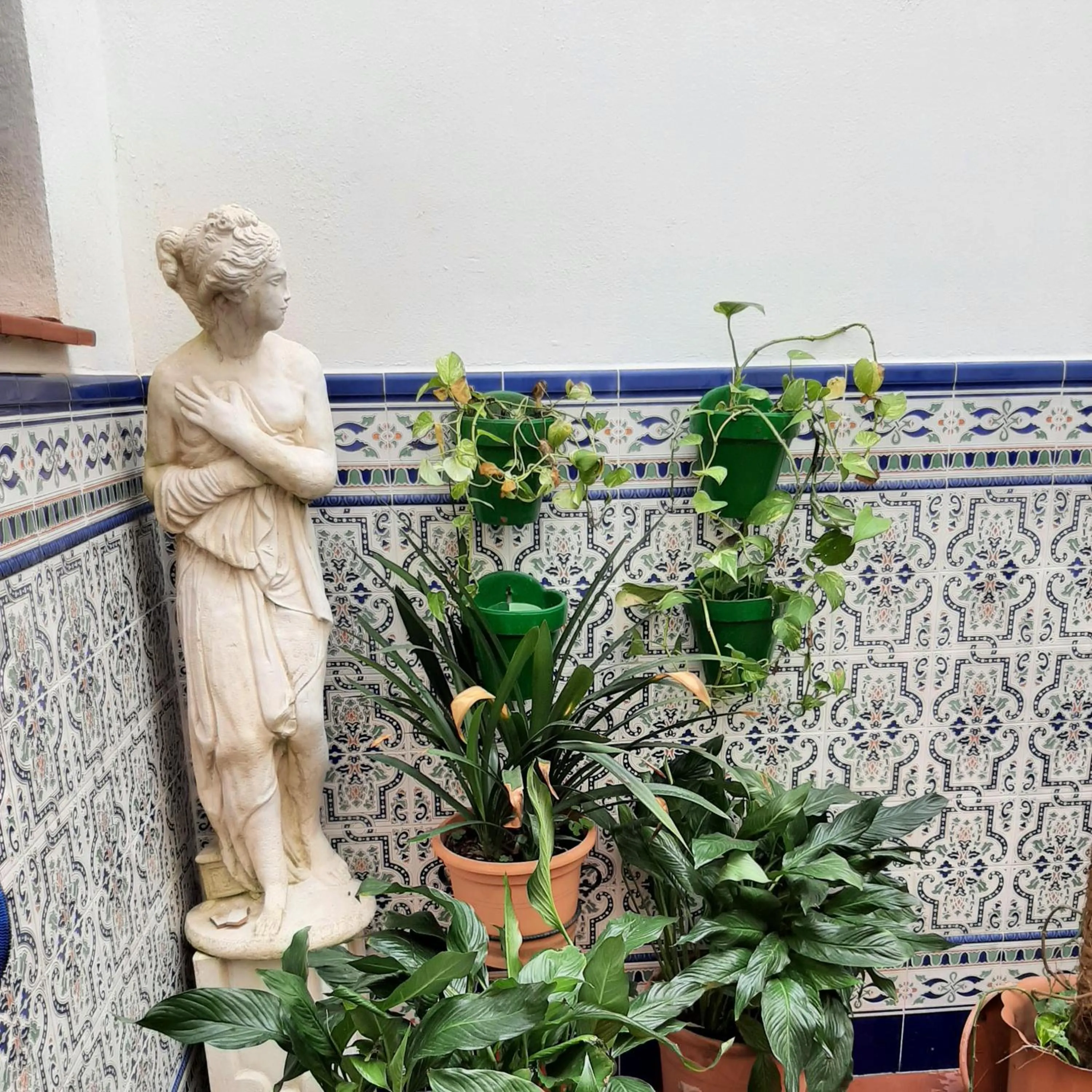 Garden view in Sotel Valle Guadiaro