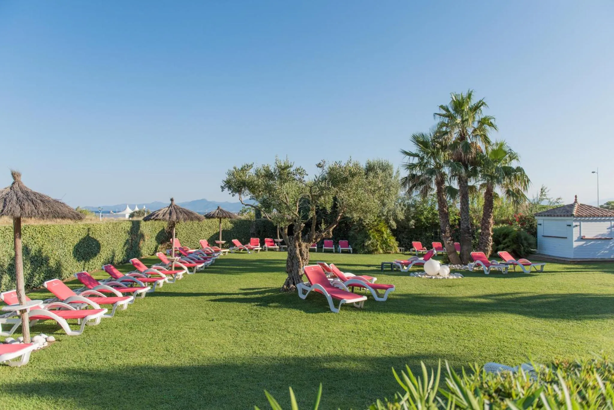 Garden in Grand Hôtel Les Flamants Roses Thalasso & Spa