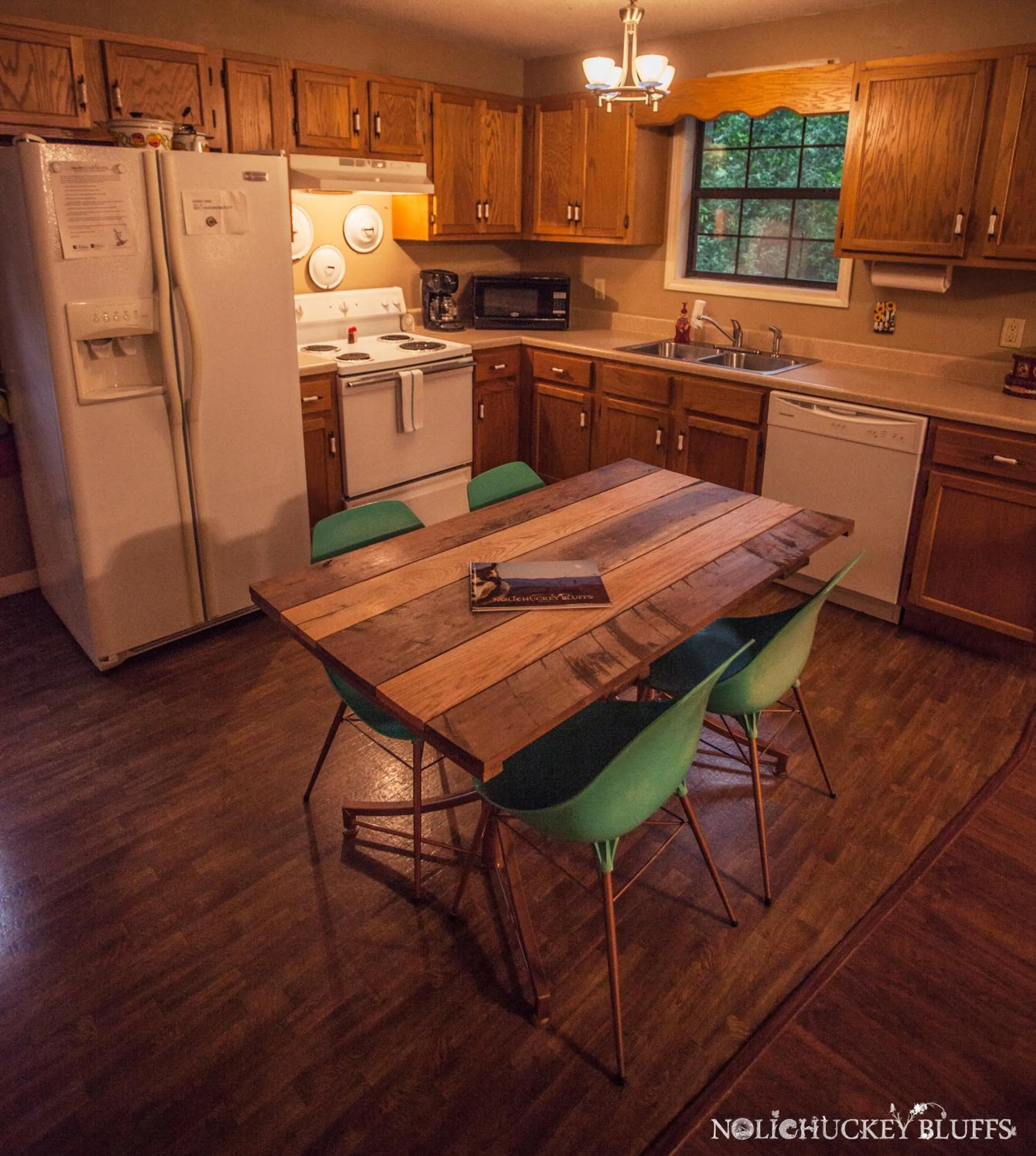Kitchen or kitchenette in Nolichuckey Bluffs Bed & Breakfast Cabins