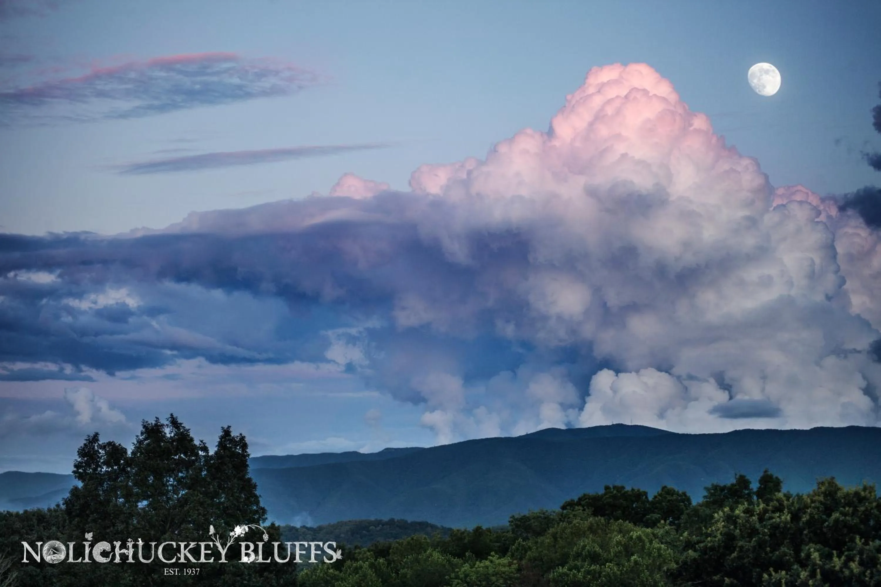Natural landscape in Nolichuckey Bluffs Bed & Breakfast Cabins