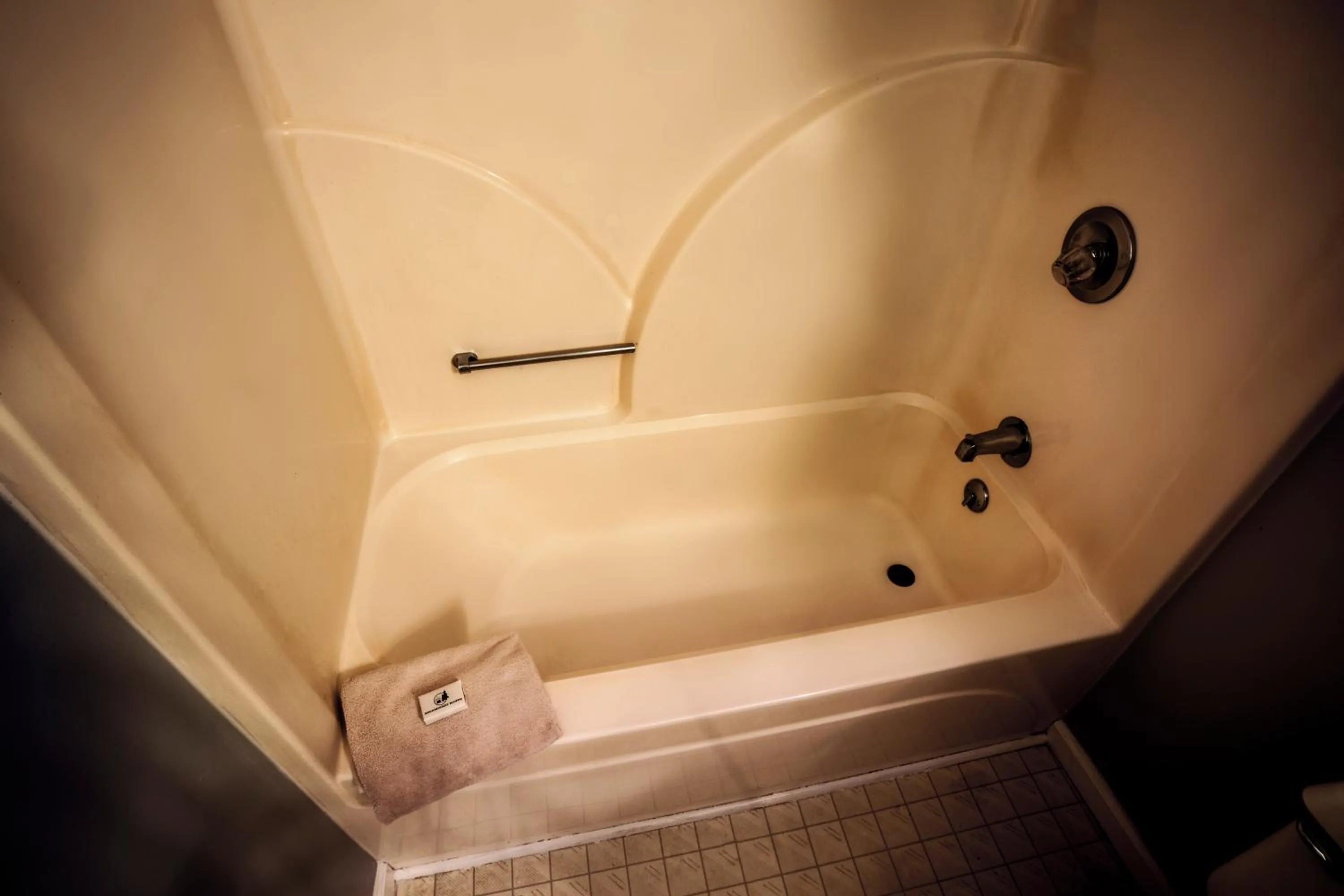 Shower in Nolichuckey Bluffs Bed & Breakfast Cabins