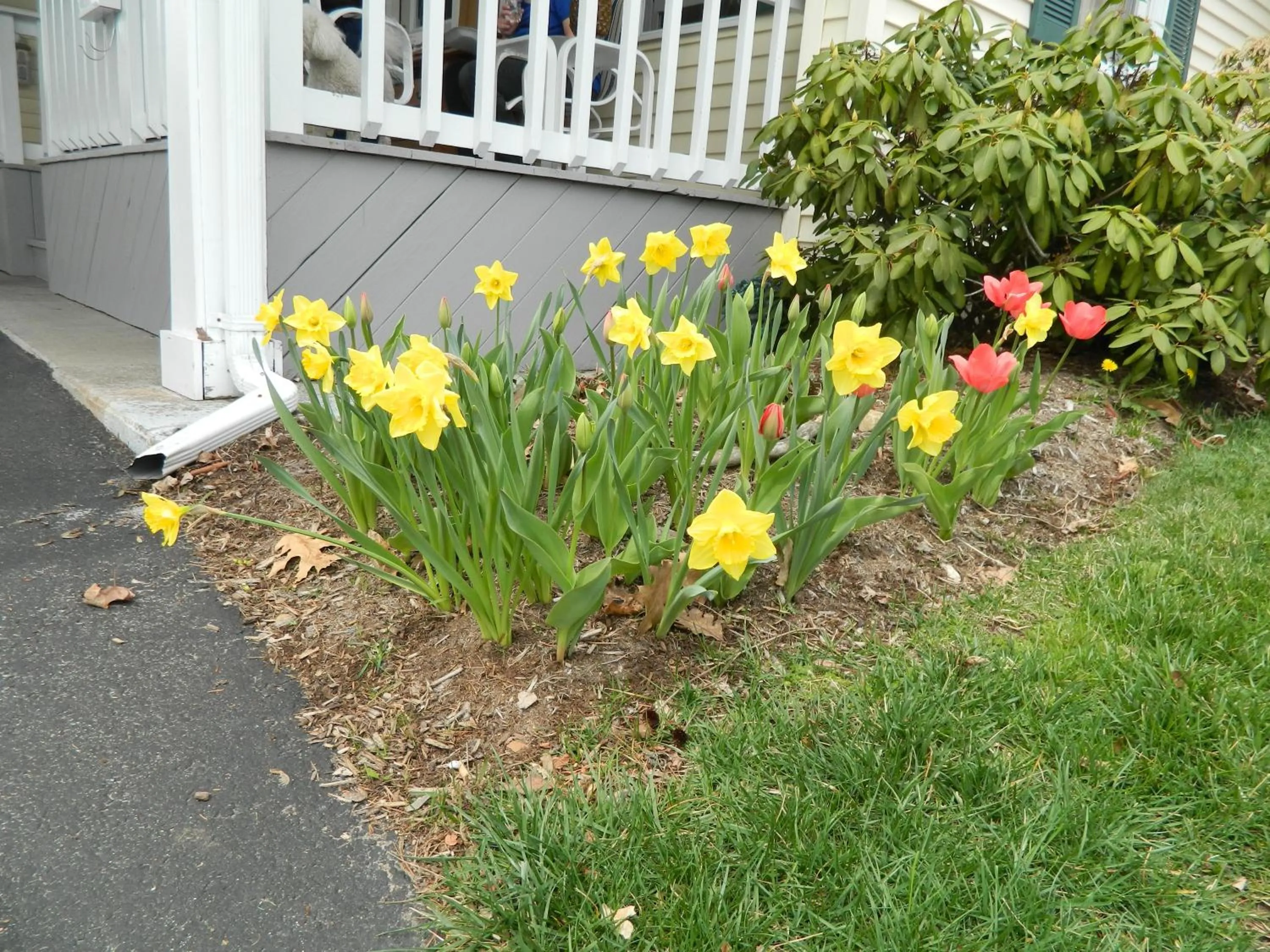 Garden in The Heritage of Lake George