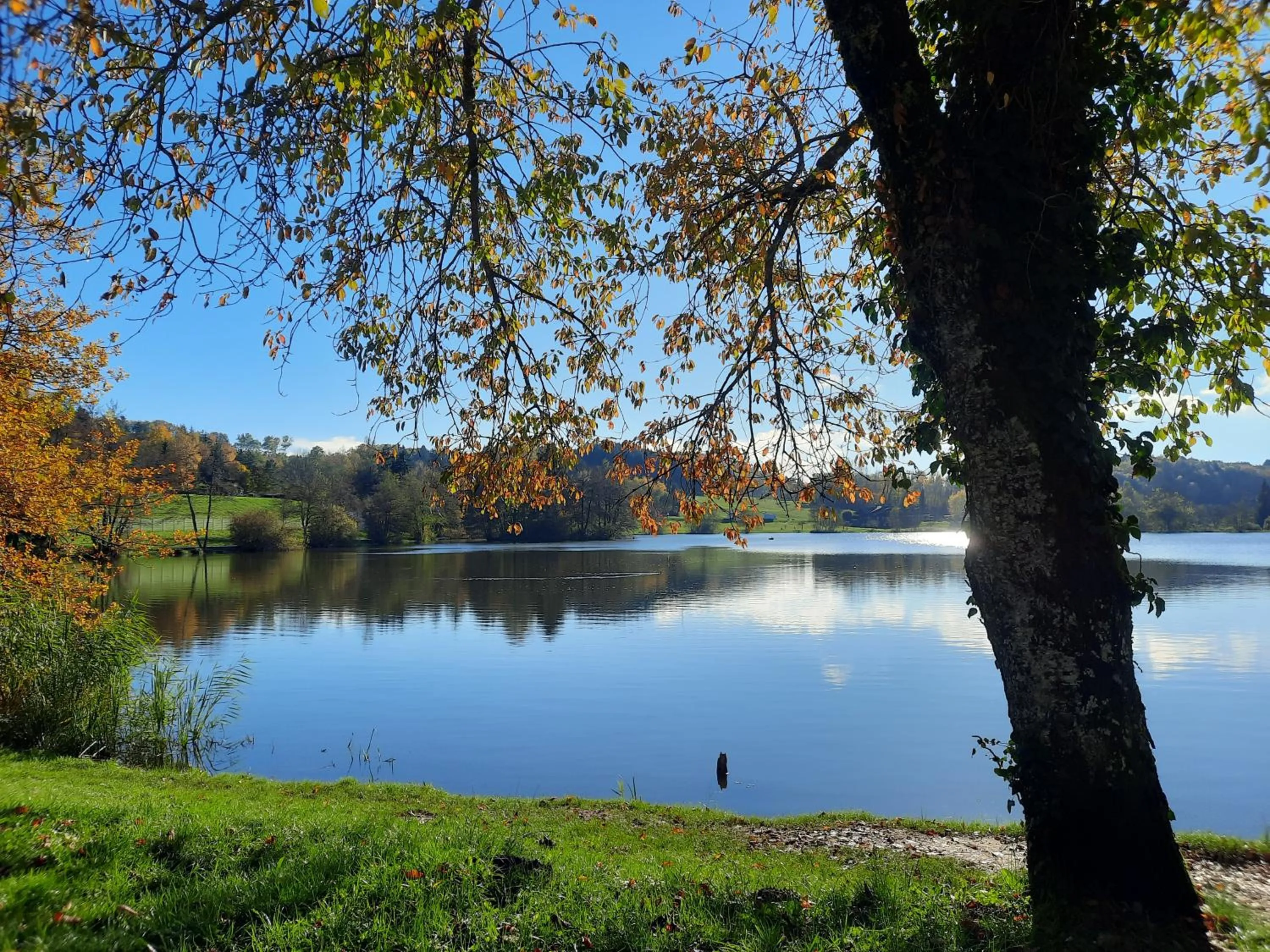 Fishing in The Originals City, Hôtel Rey du Mont Sion, Saint-Julien-en-Genevois Sud