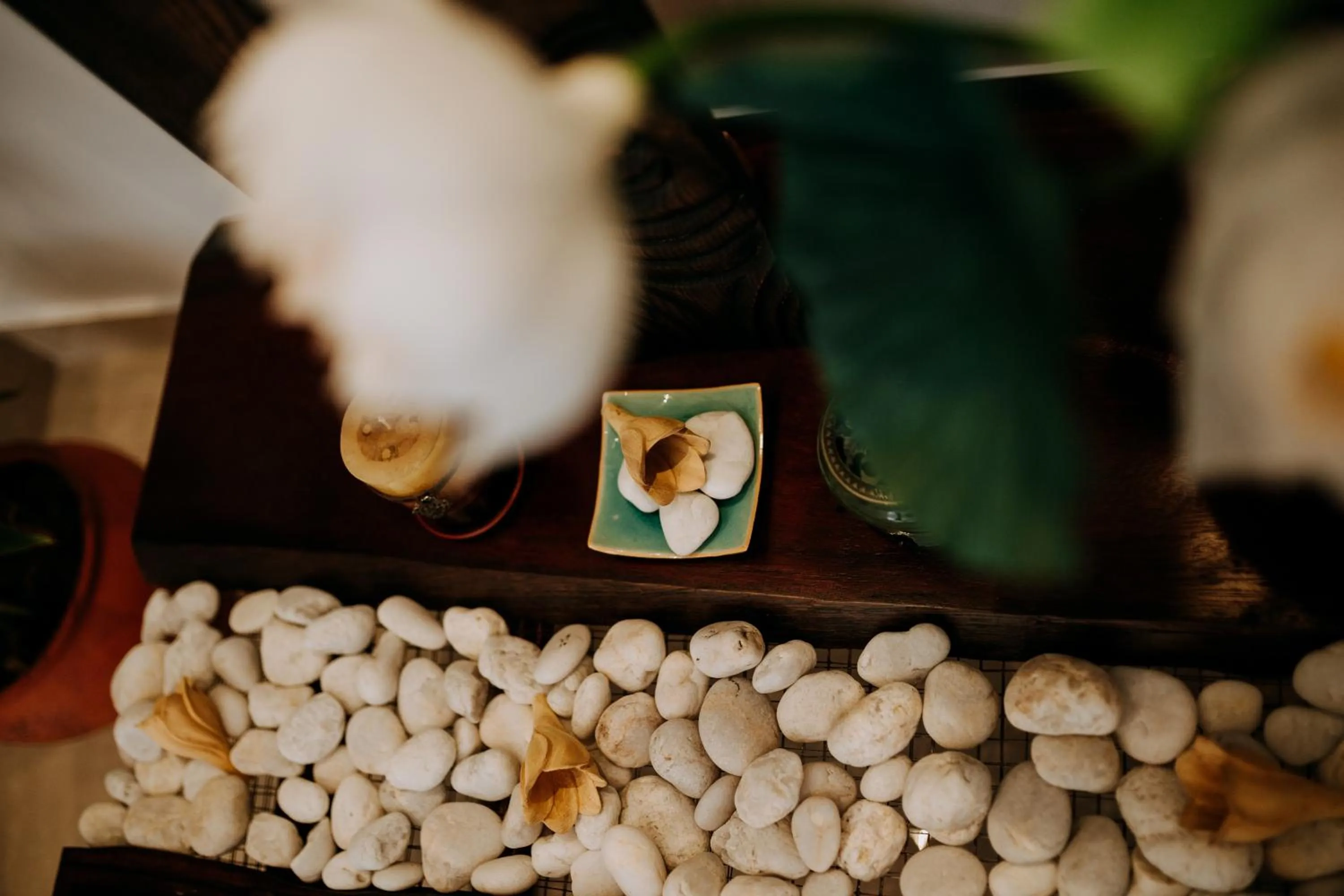 Library in Tâm Homestay