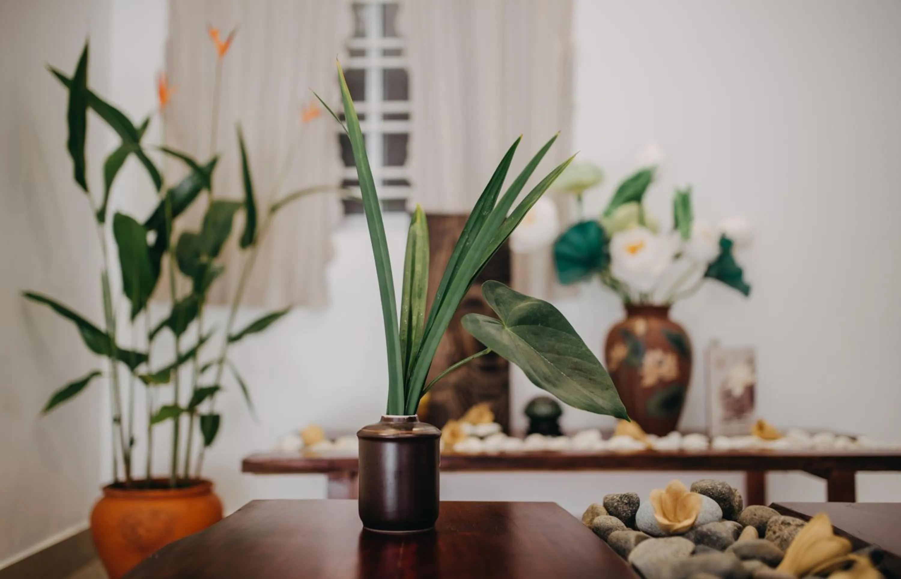 Other in Tâm Homestay