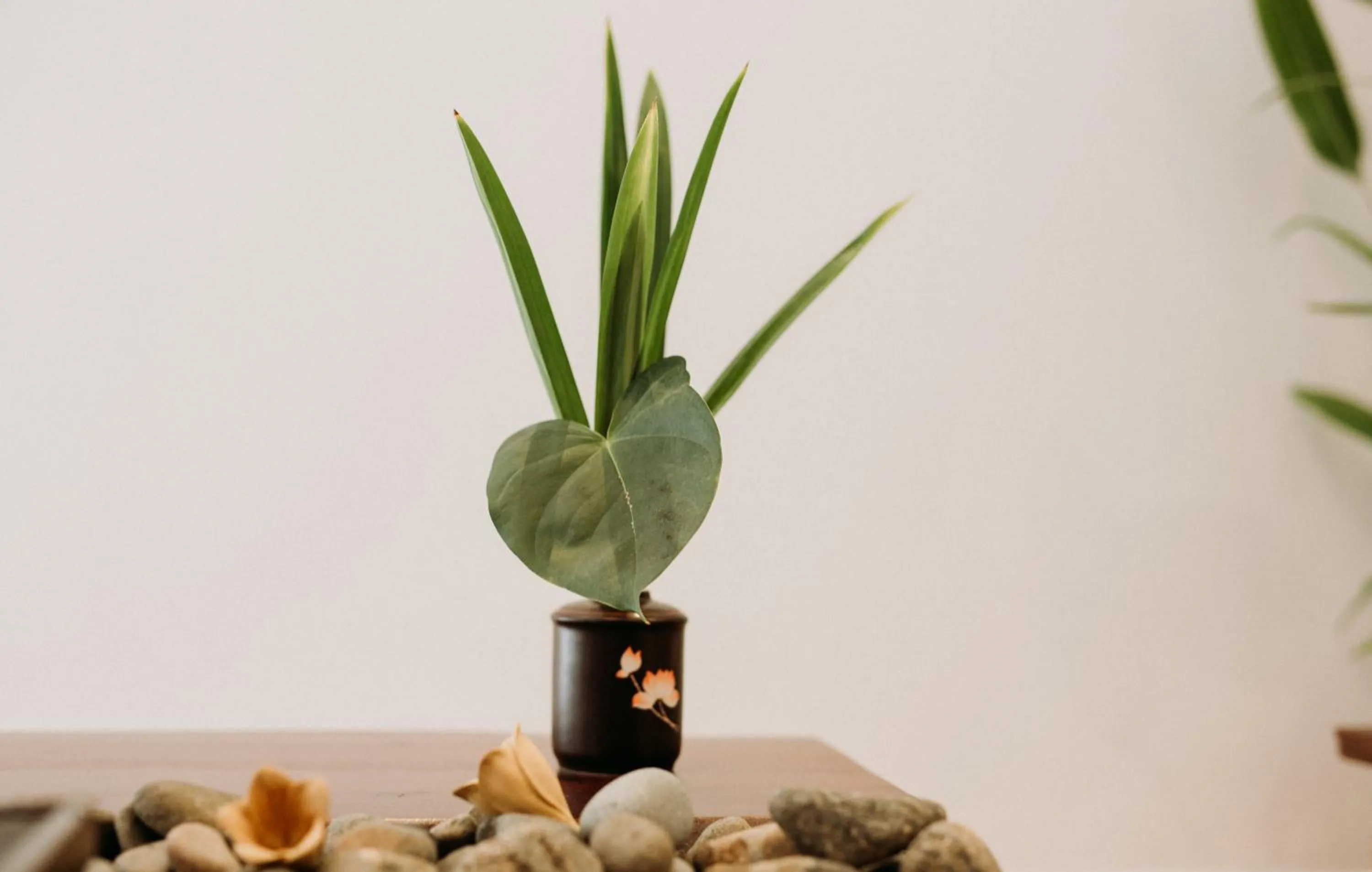 Other in Tâm Homestay