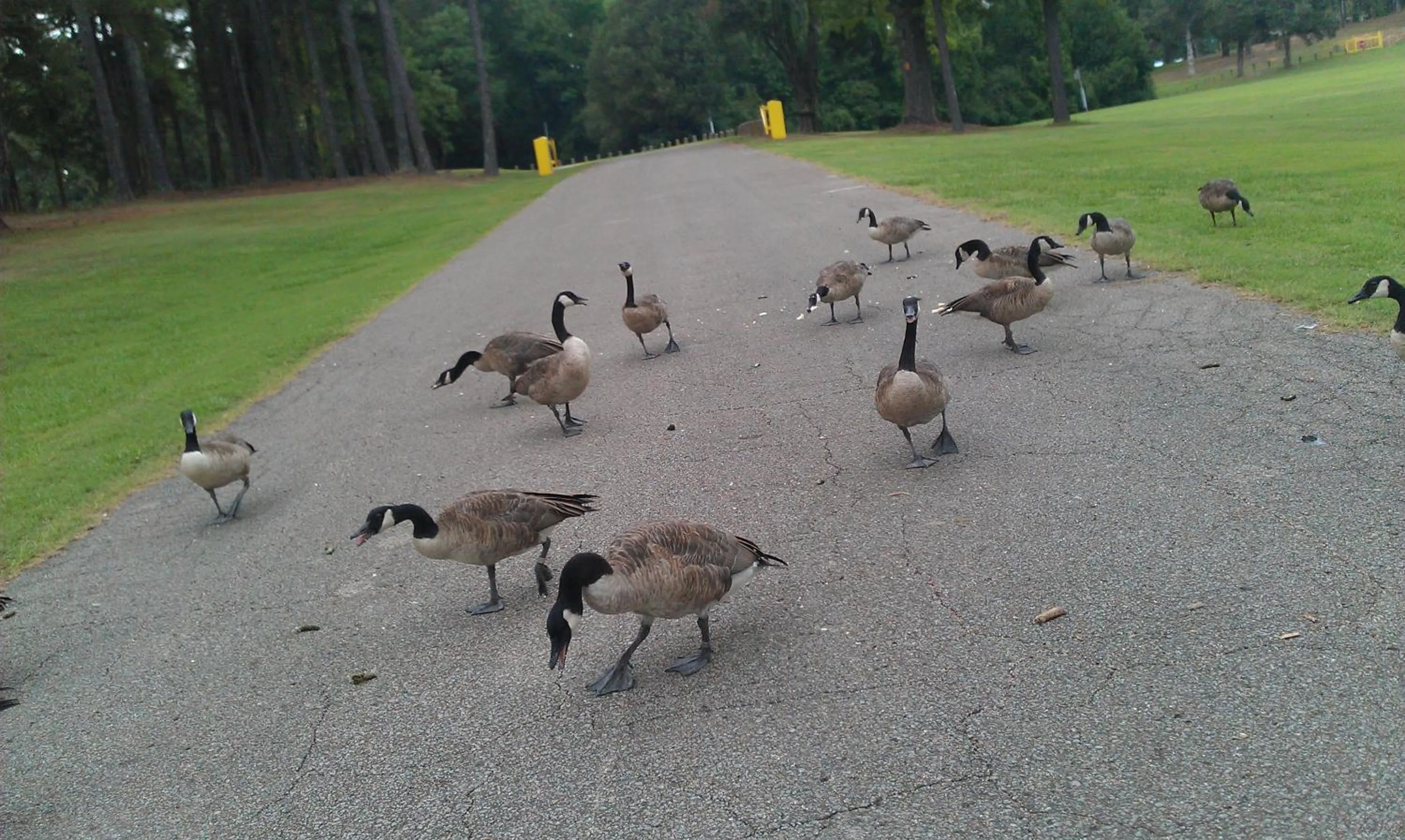 Activities in River Heights Motel