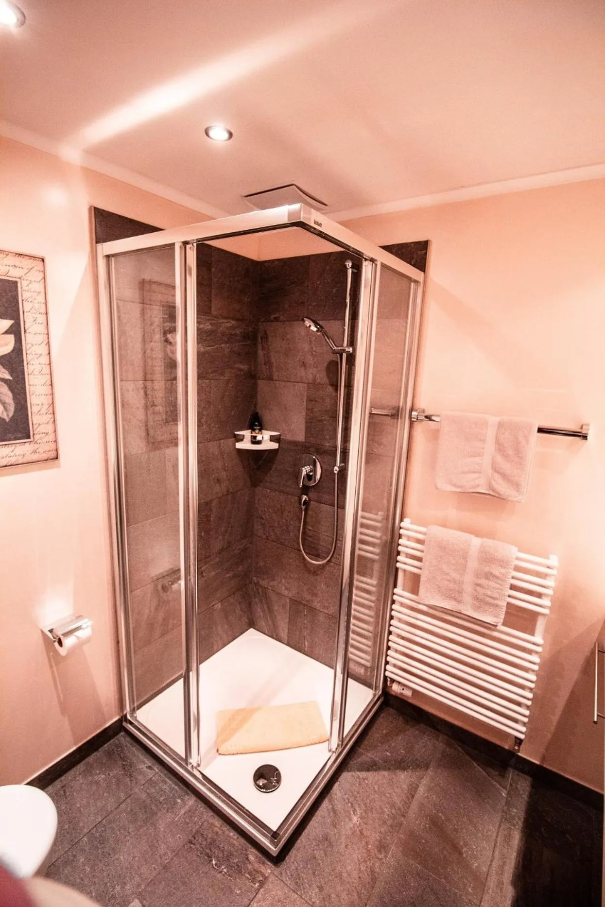 Shower in Hotel Alpenkönig