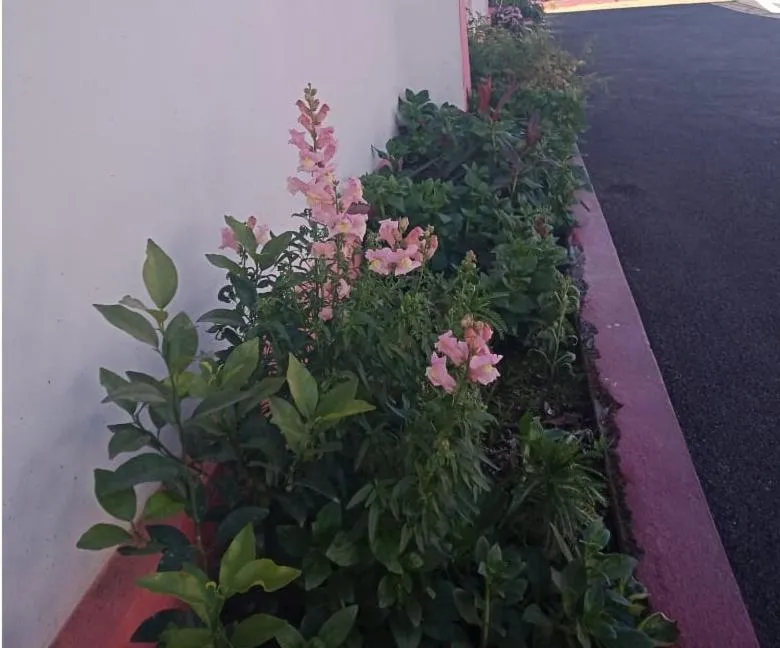 Garden in Sulawado Resort