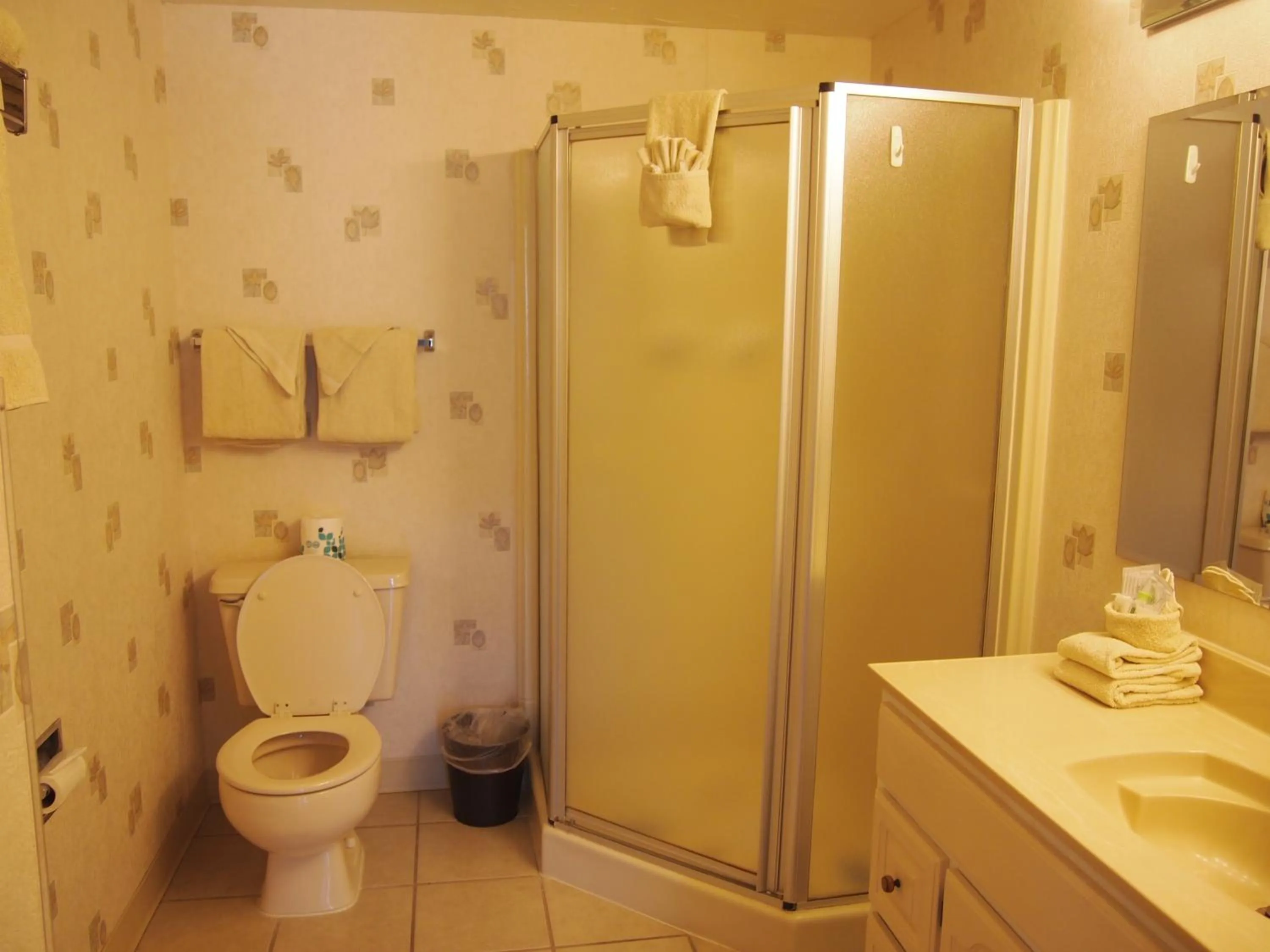 Bathroom in Eagle Motel