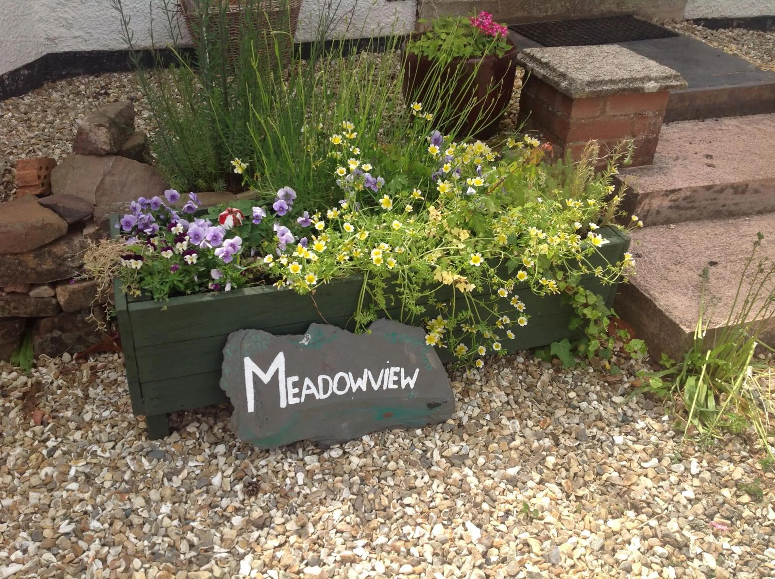 Property building in Meadowview