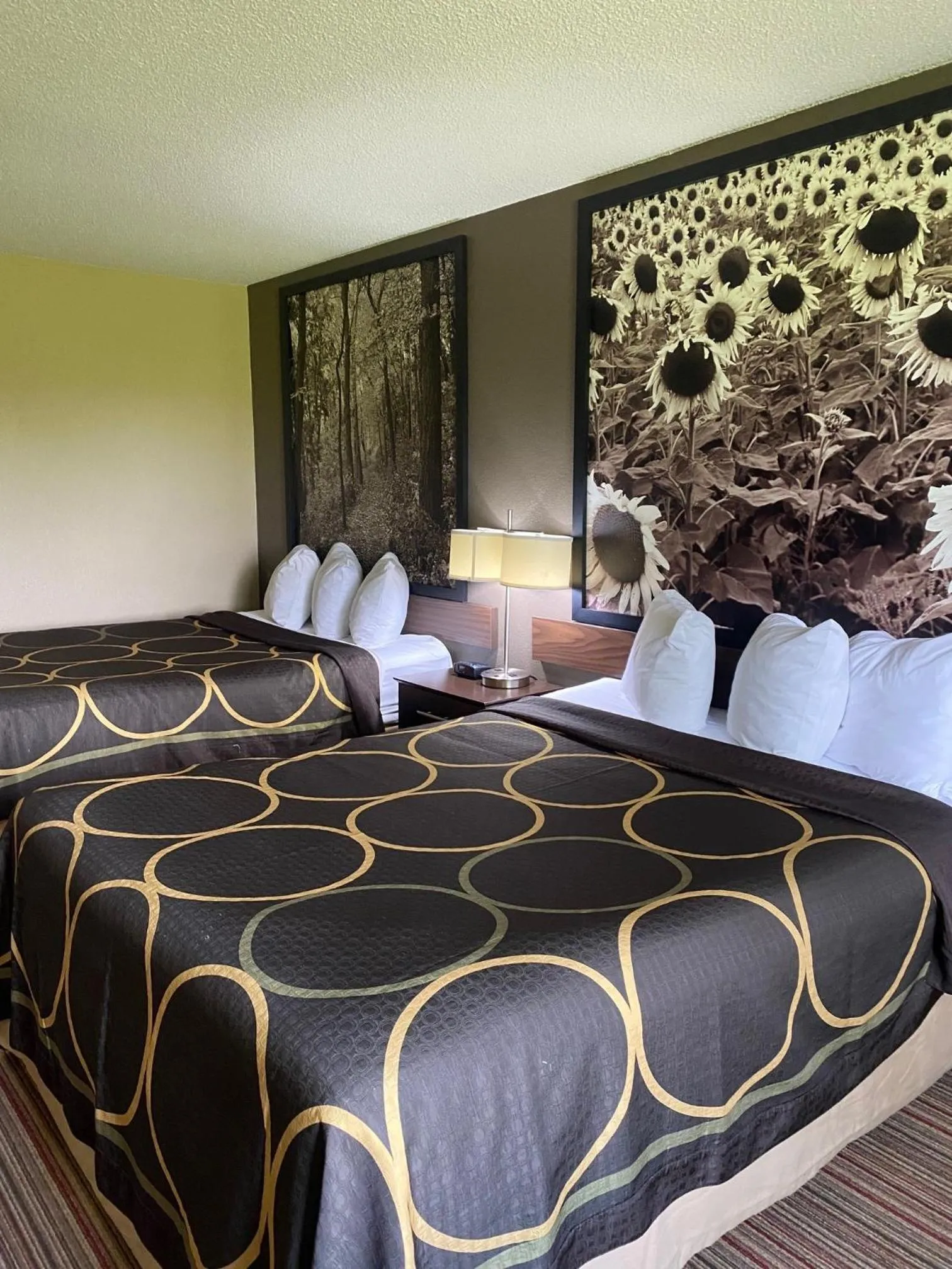 Guests, Bed in Super 8 by Wyndham New Hampton