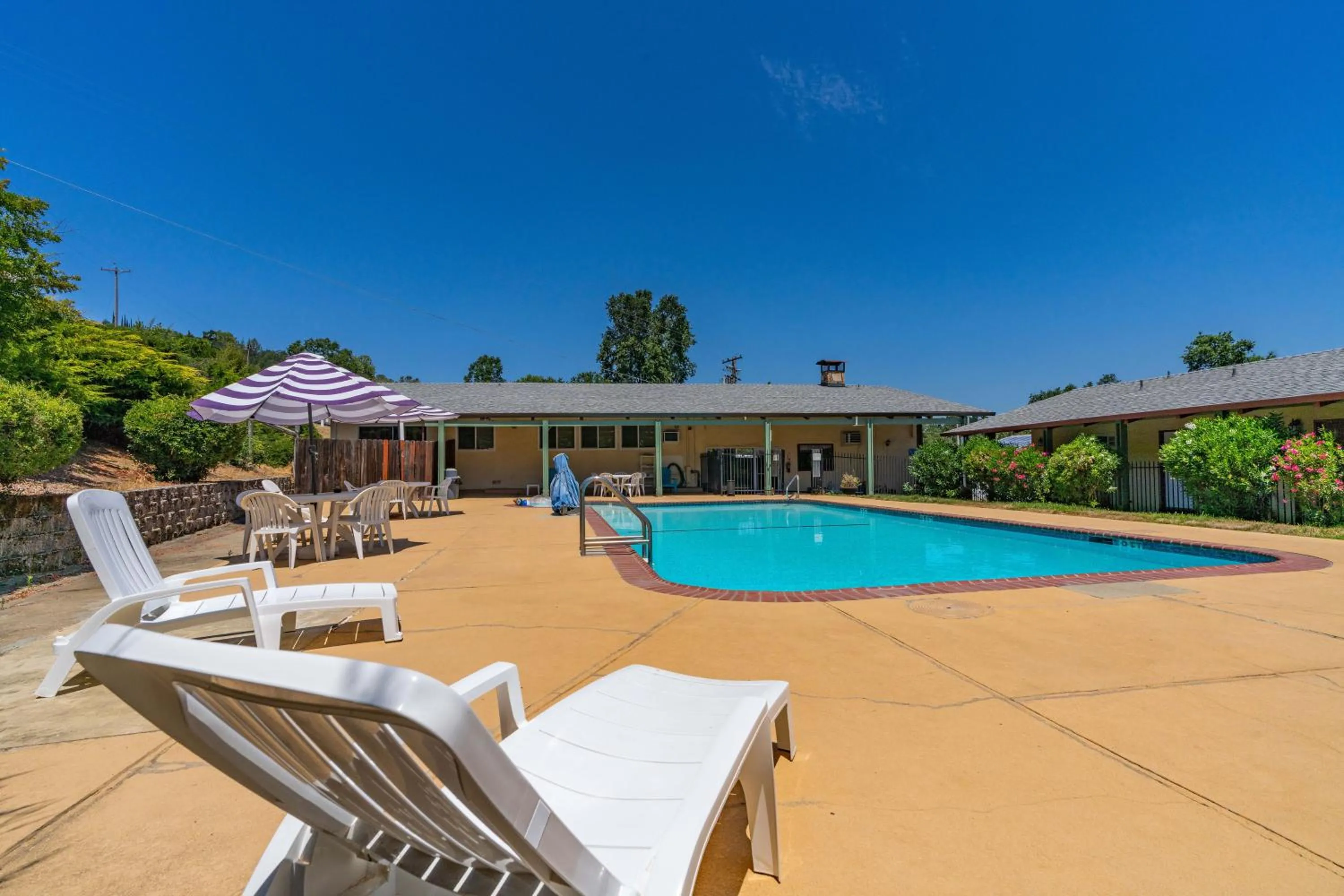 Pool view, Swimming Pool in The Jackson Lodge