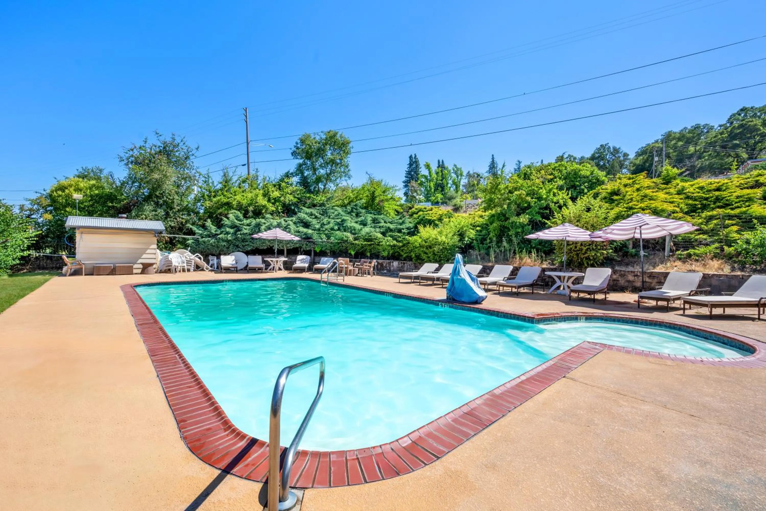 Swimming Pool in The Jackson Lodge