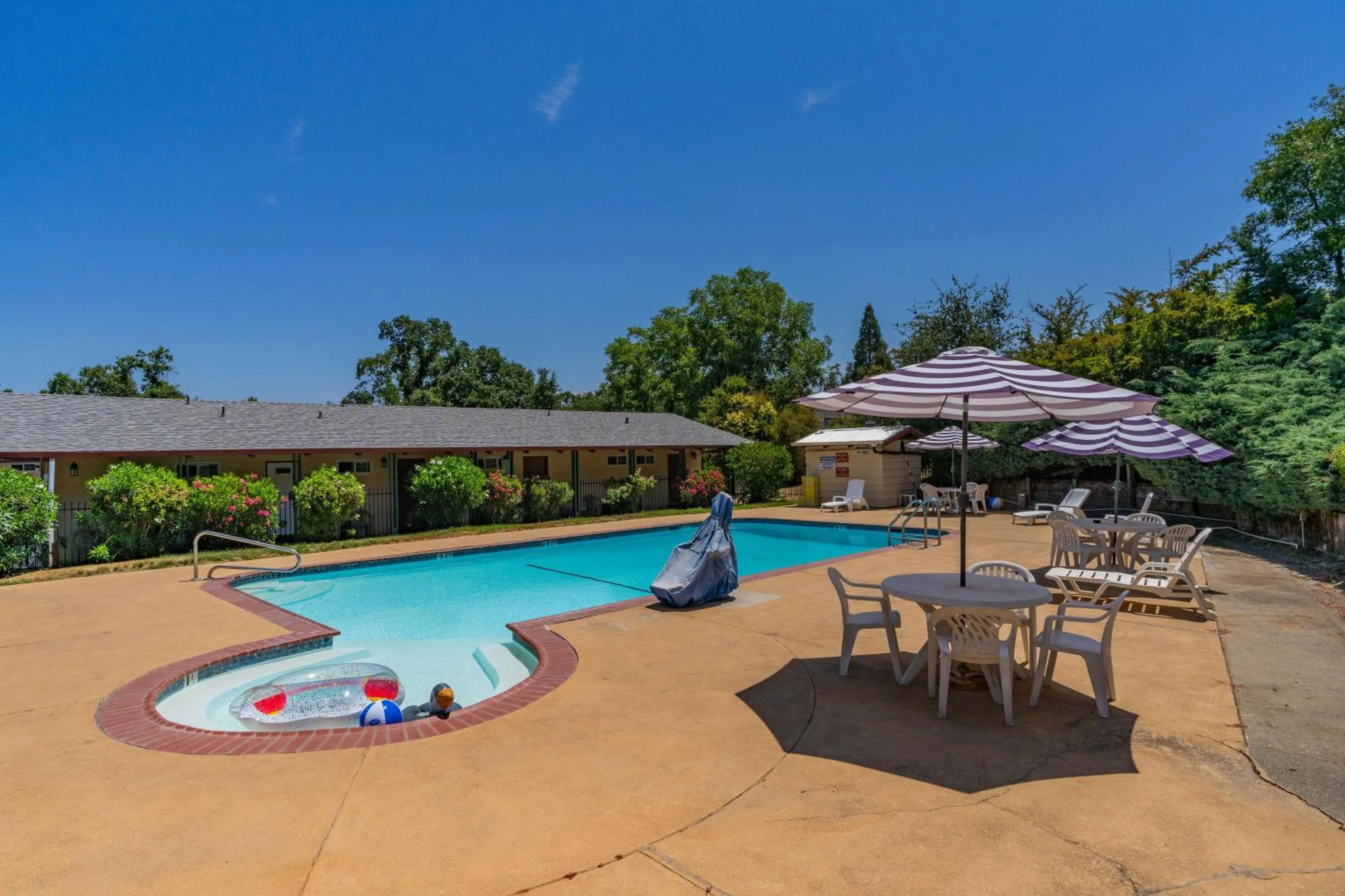 Pool view, Swimming Pool in The Jackson Lodge