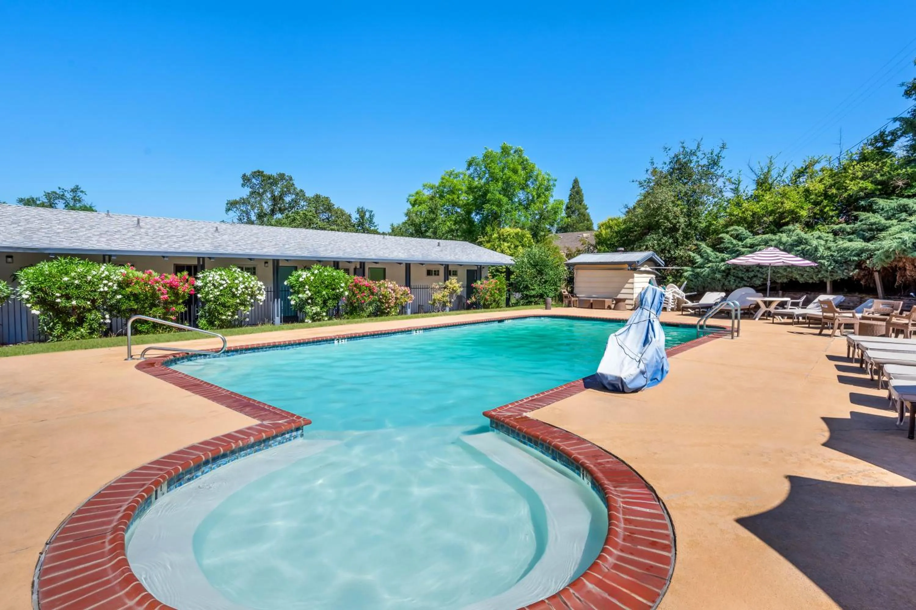 Swimming Pool in The Jackson Lodge