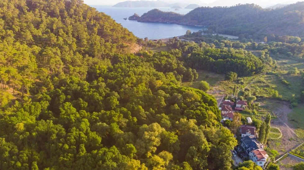 Bird's eye view in AdaHan Family Rooms Gocek