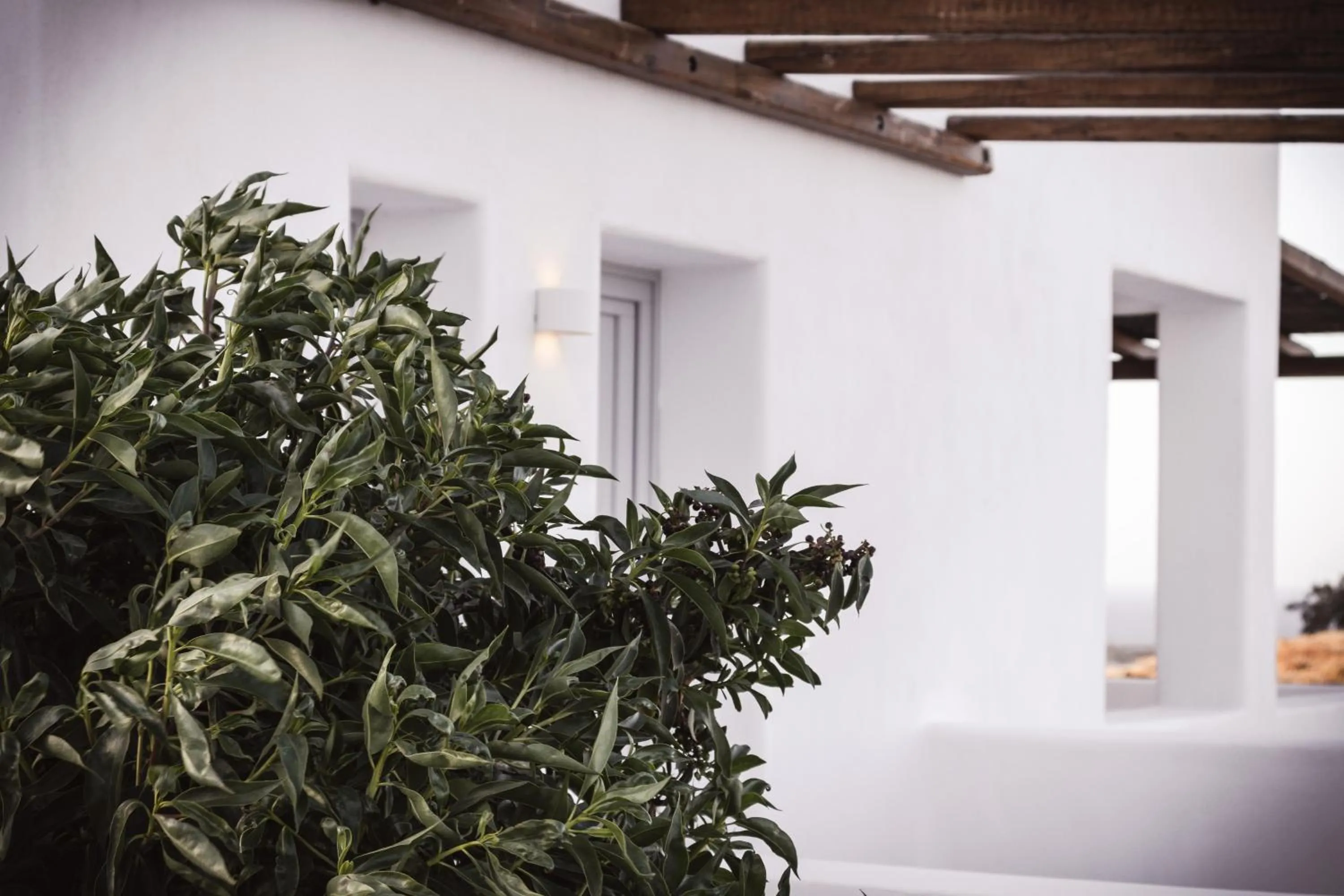 Property building in Bianco Diverso Suites