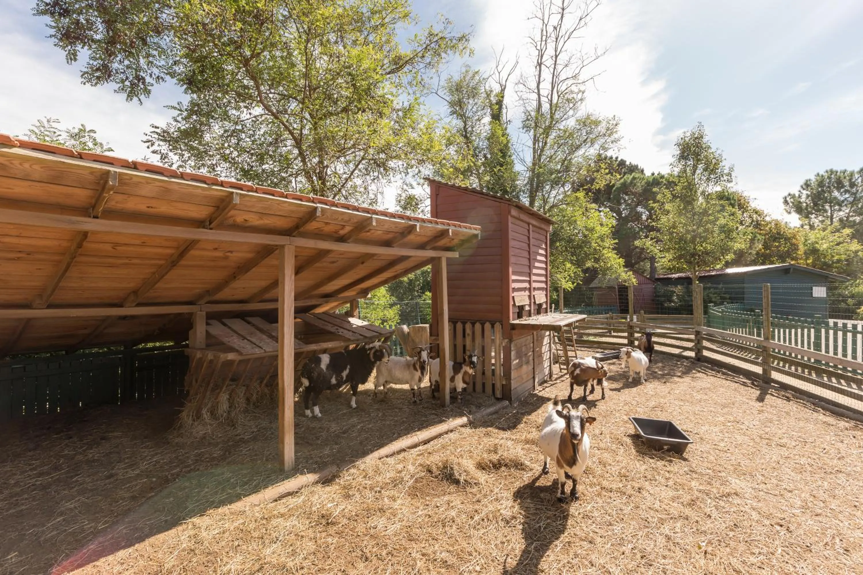 Day in Village Pierre & Vacances Moliets