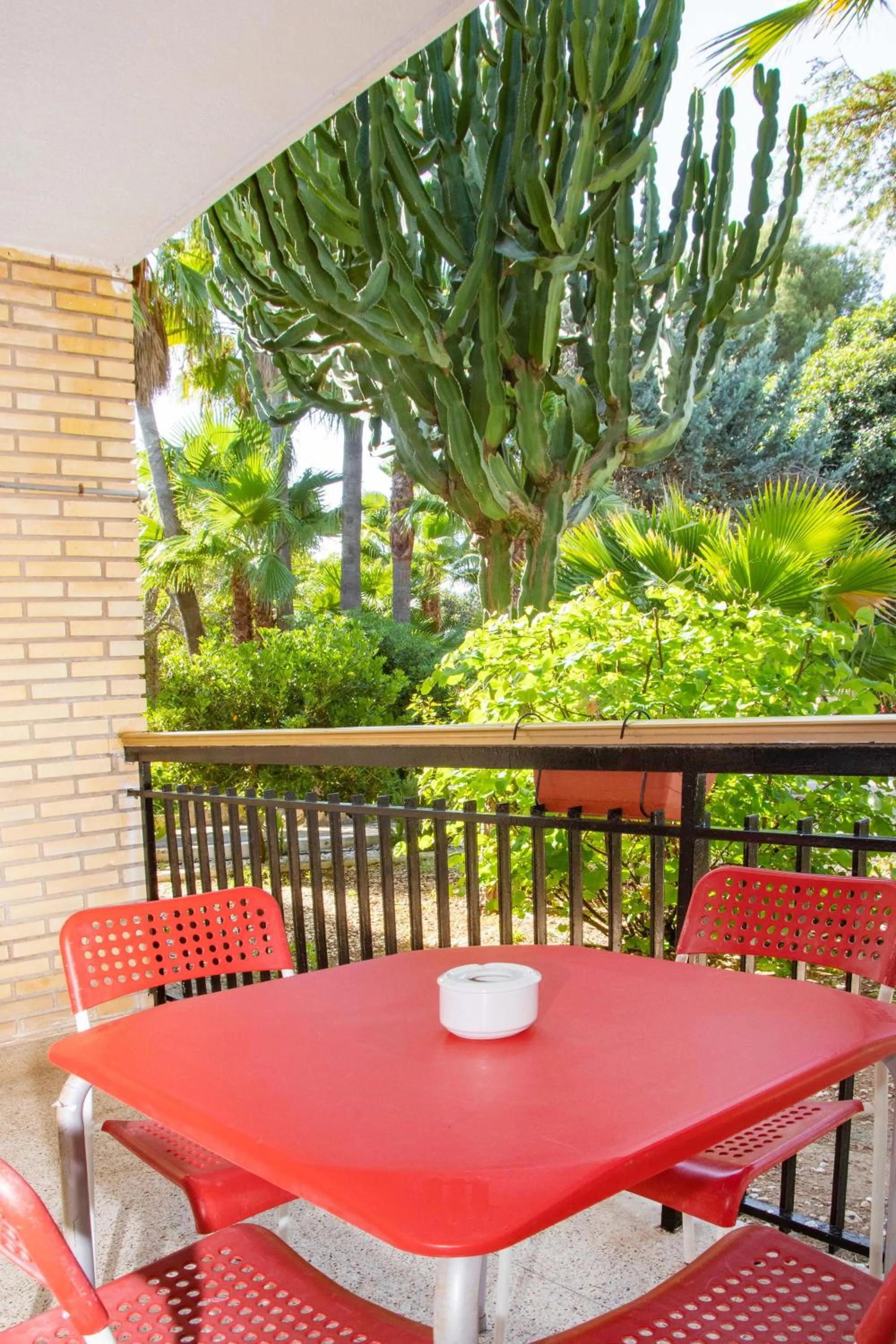 Patio in APARTAMENTOS PALASIET
