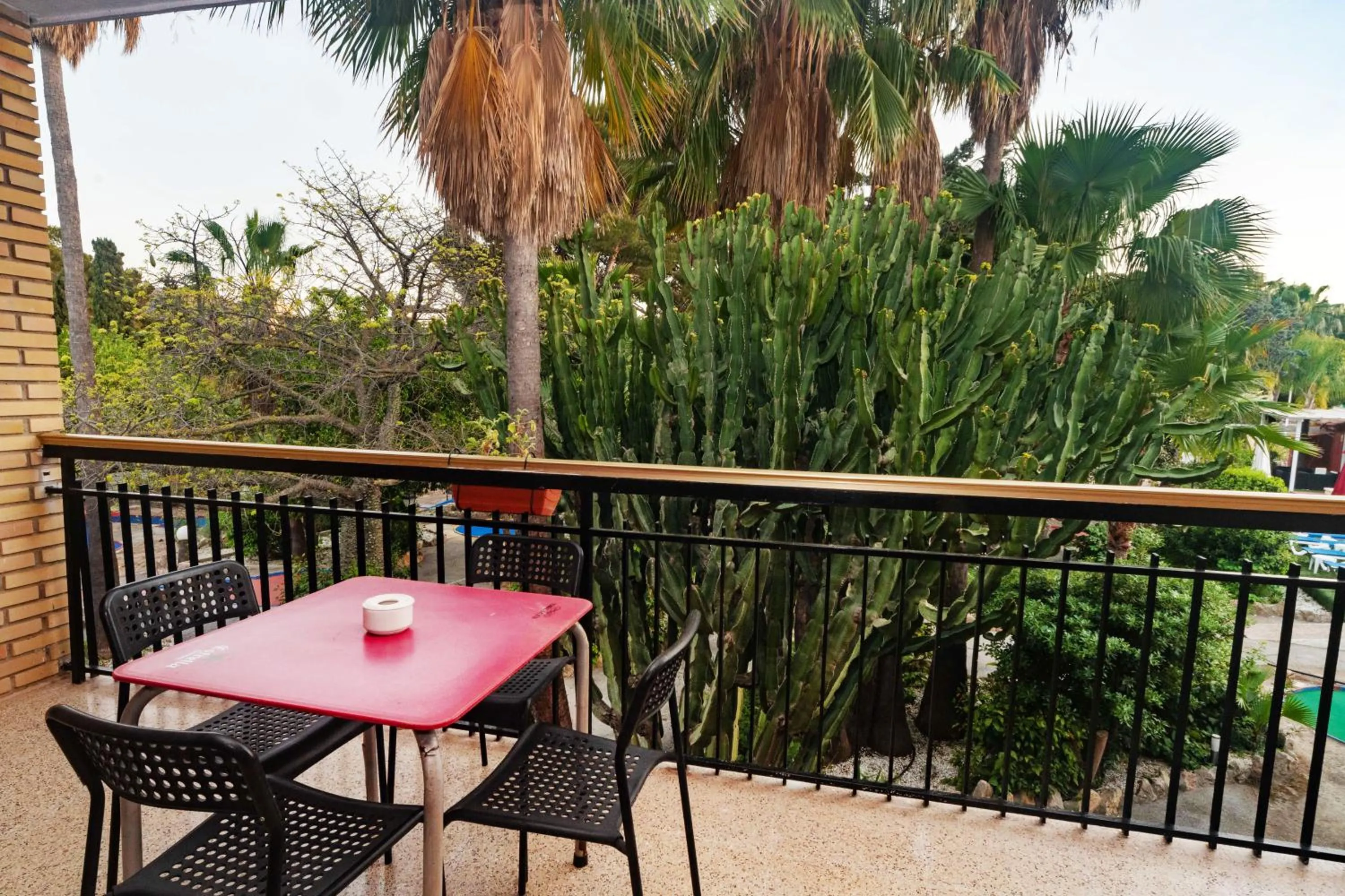 Day in APARTAMENTOS PALASIET