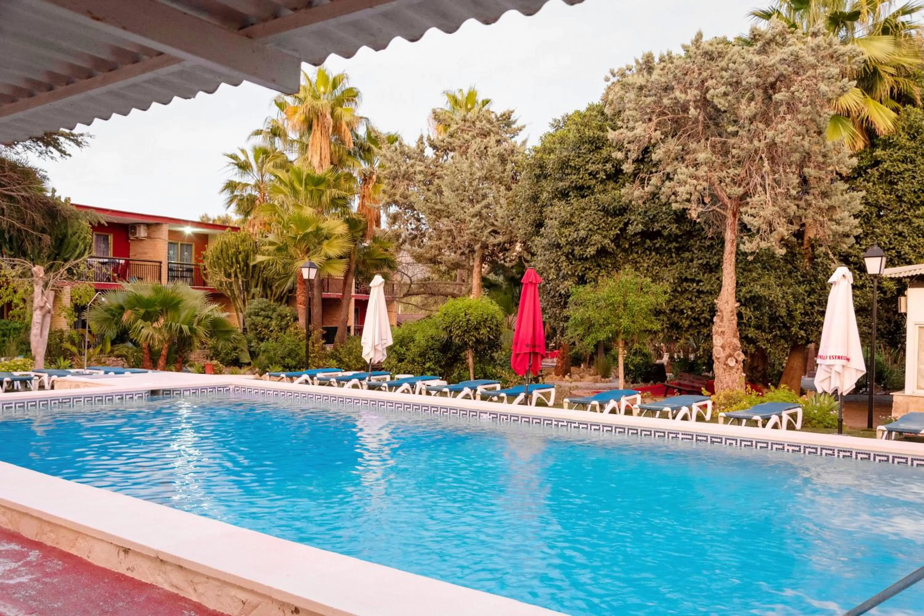 Spring in APARTAMENTOS PALASIET