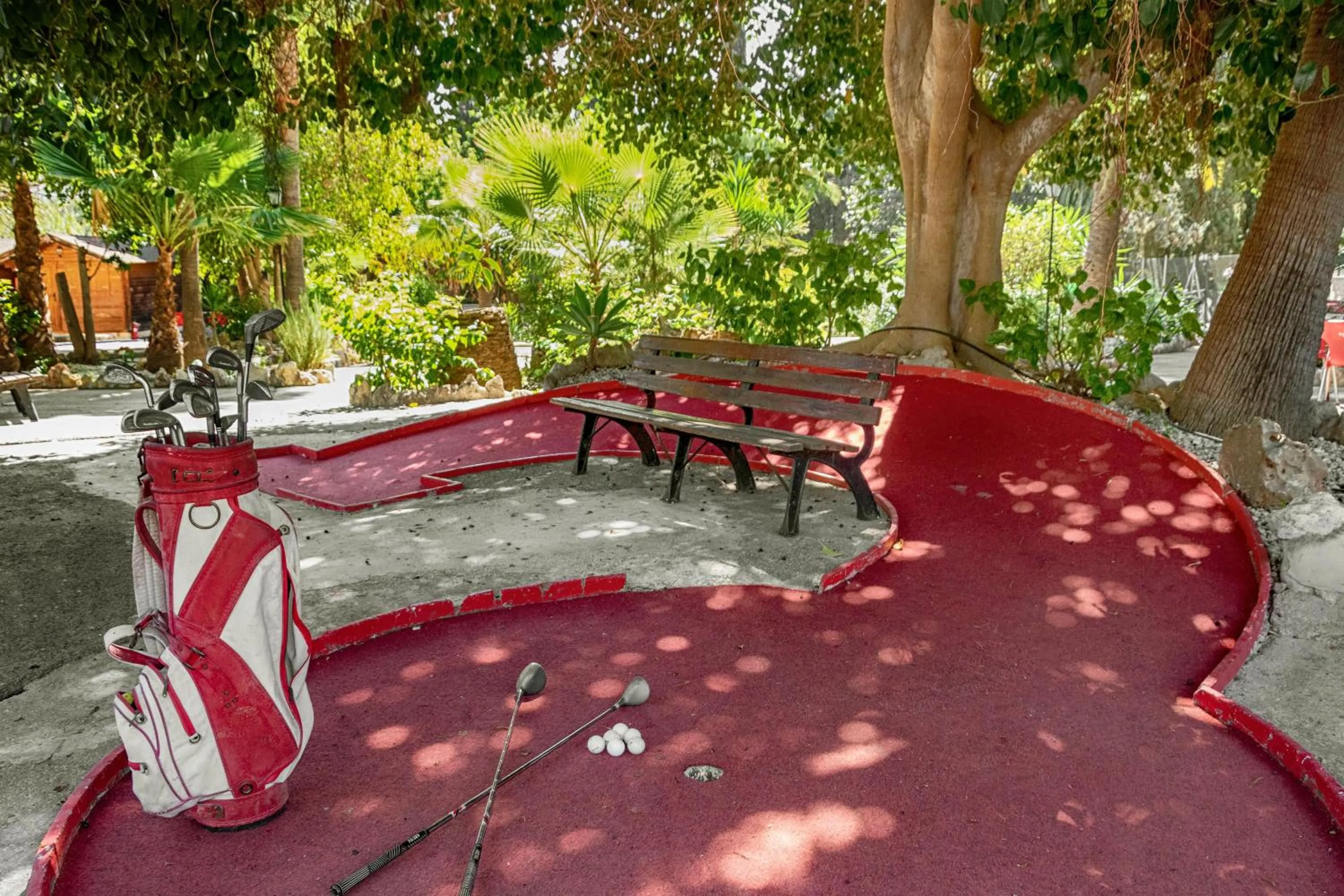 Day in APARTAMENTOS PALASIET