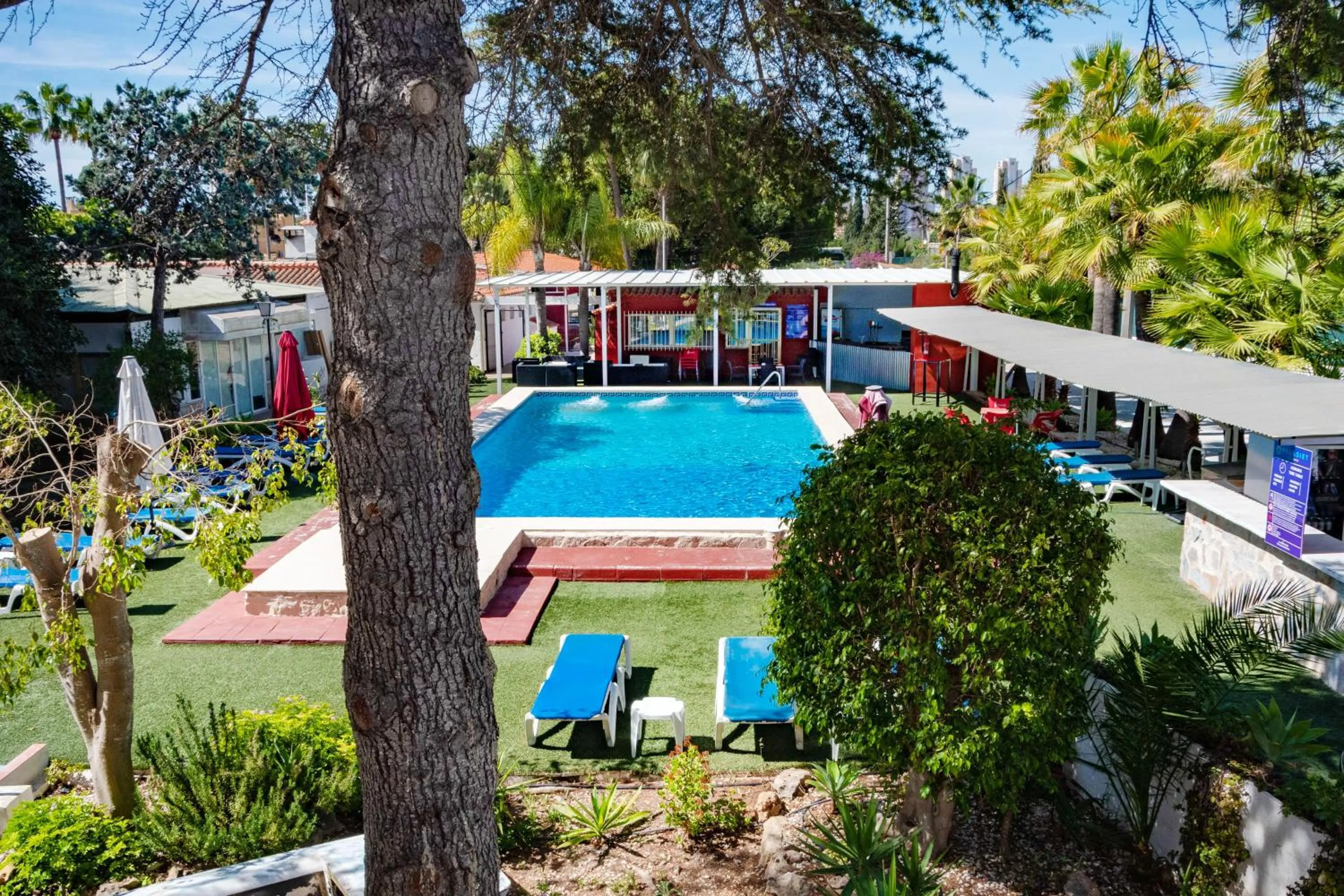 Spring in APARTAMENTOS PALASIET