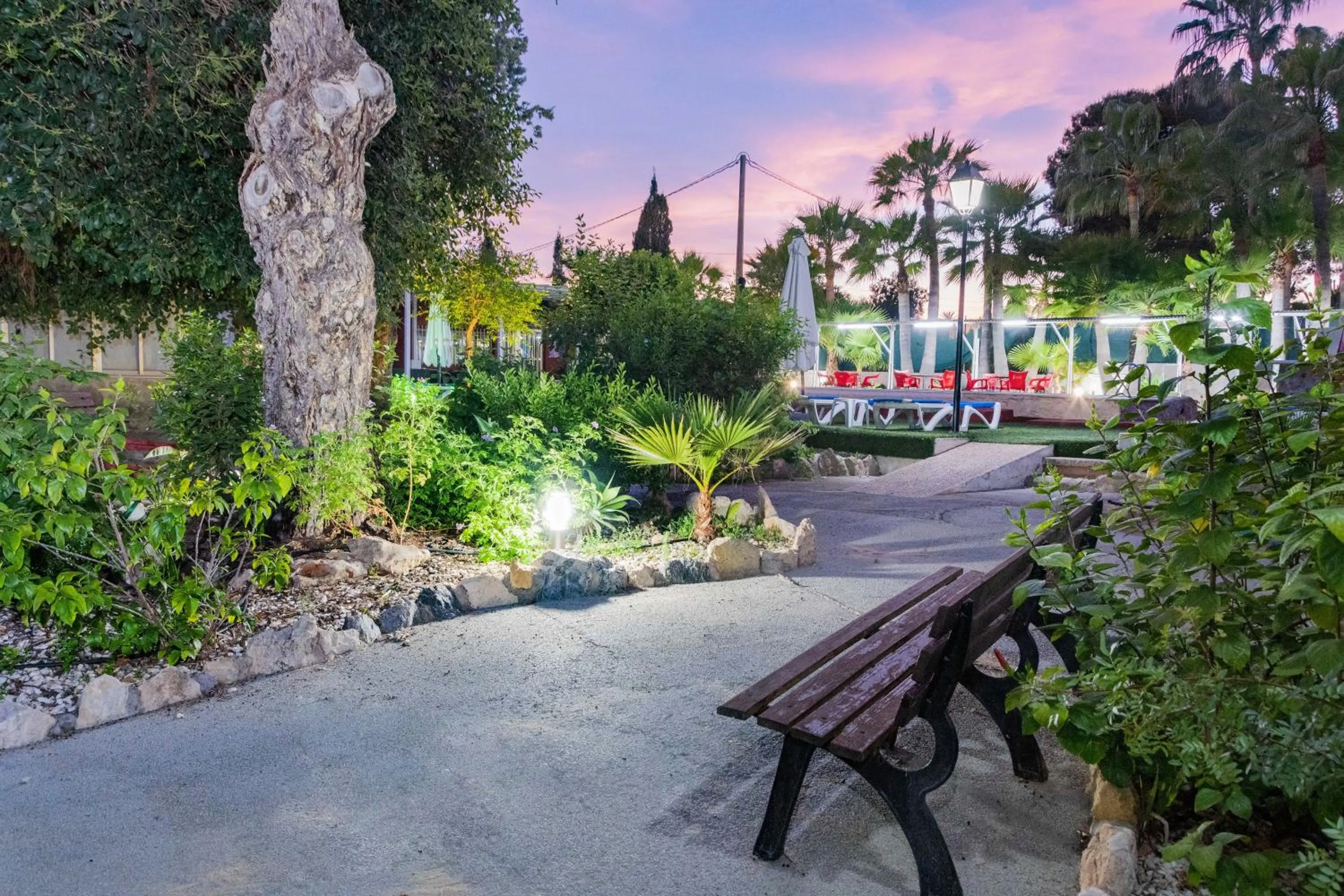 Spring in APARTAMENTOS PALASIET