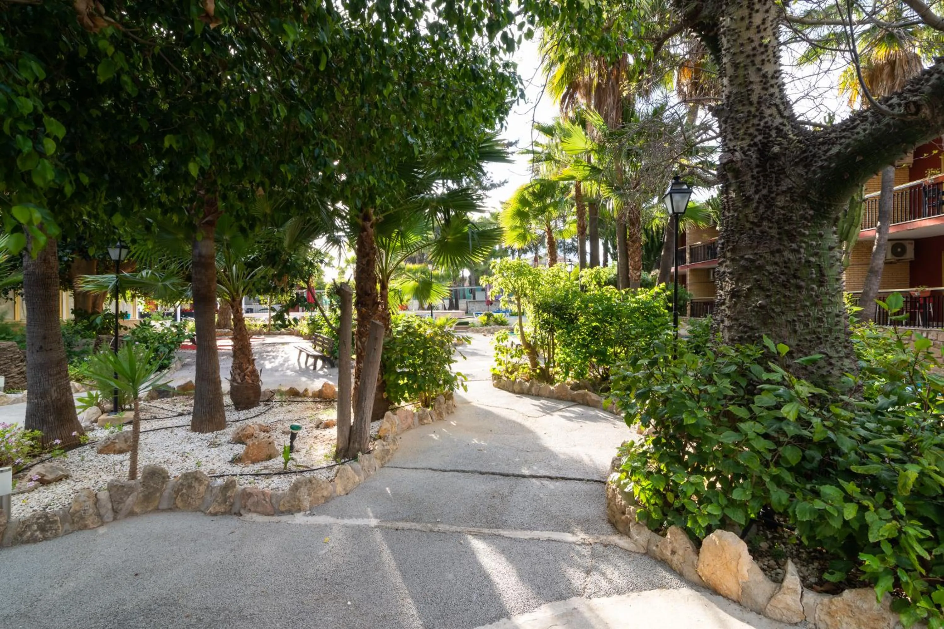 Spring in APARTAMENTOS PALASIET