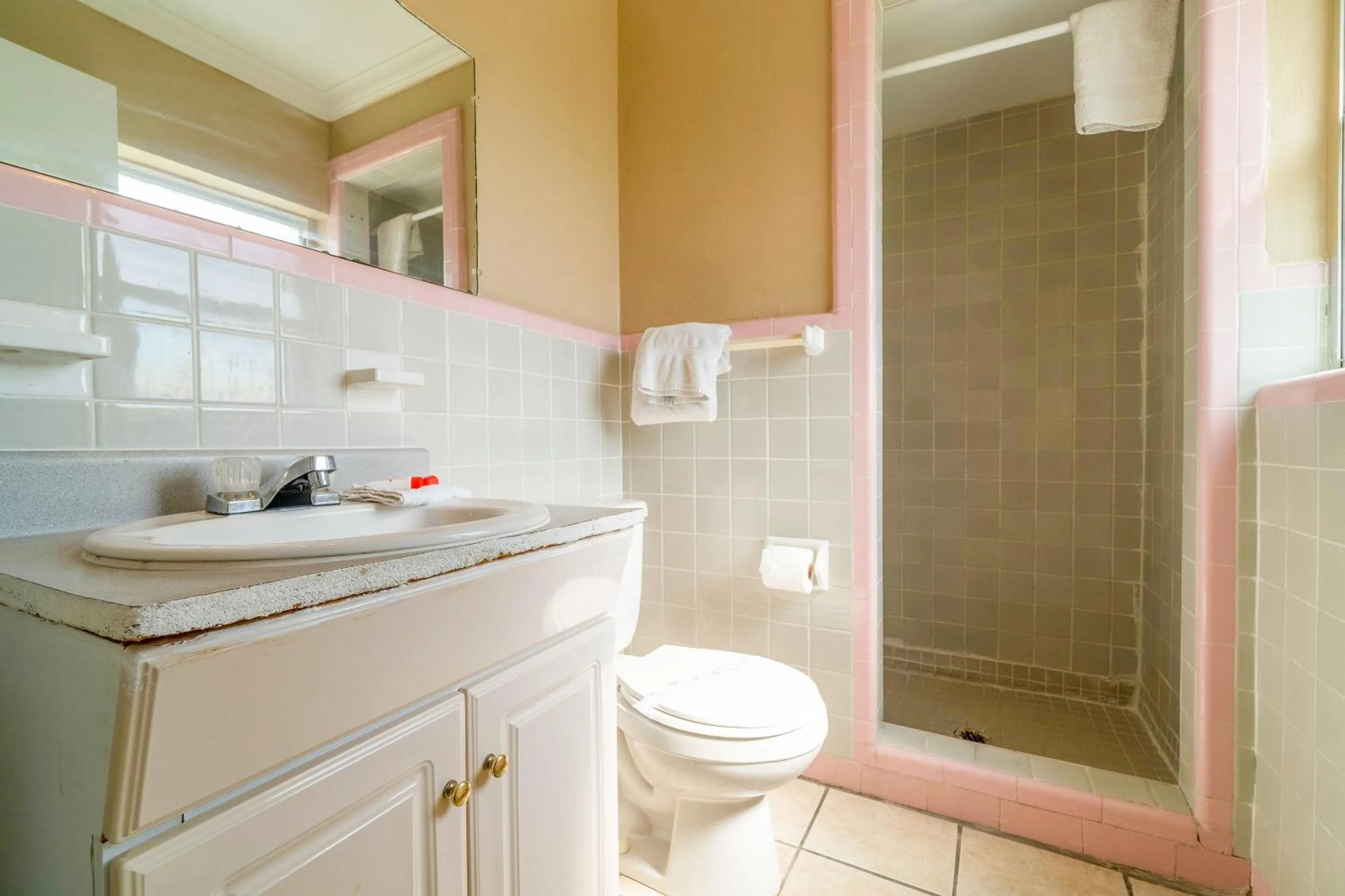 Bathroom in Capital O Hotel Beeville -US 181