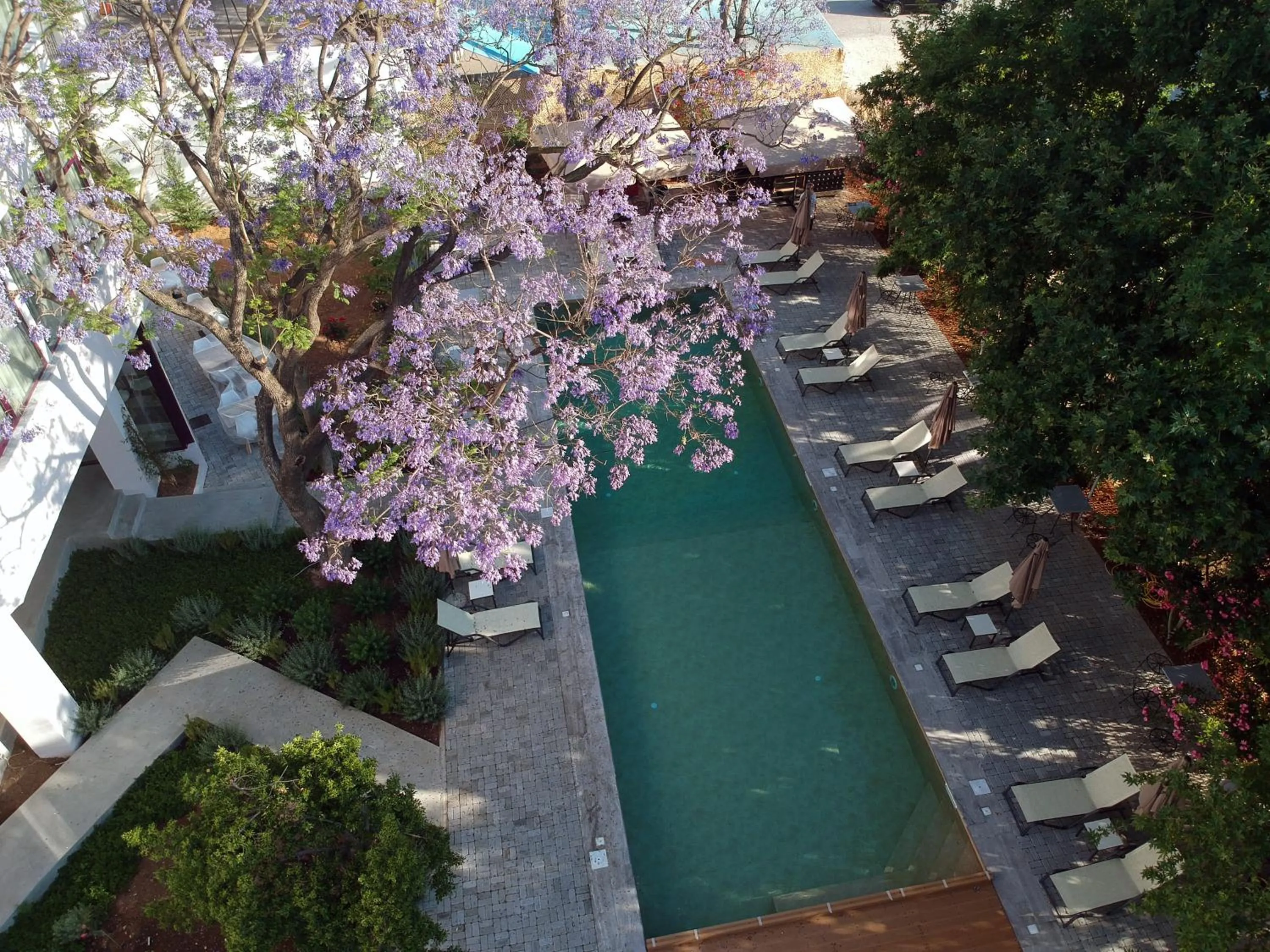 Bird's eye view in Avra Nafpliou