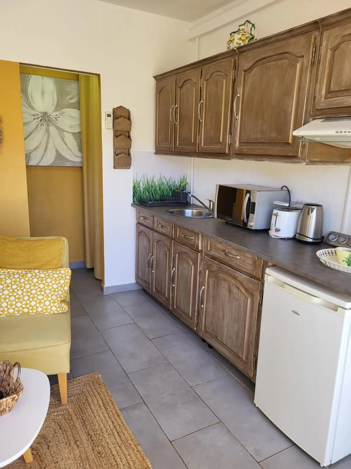 La Salamandre de Camargue