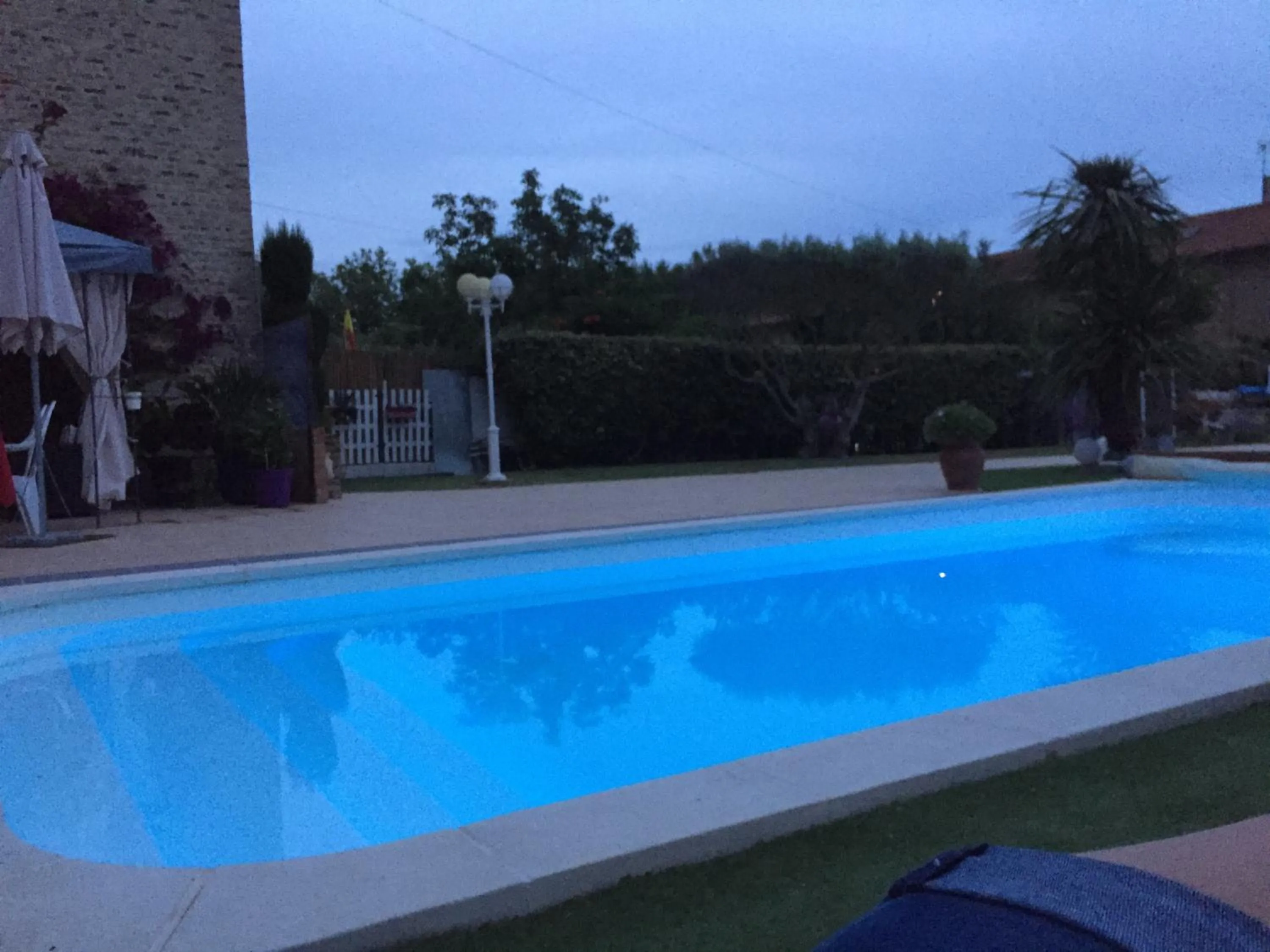 La Salamandre de Camargue