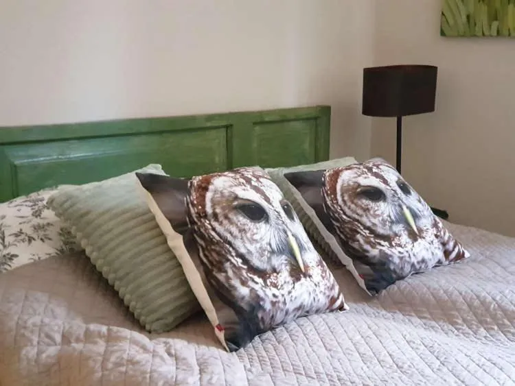 Bed in Majątek Morgi