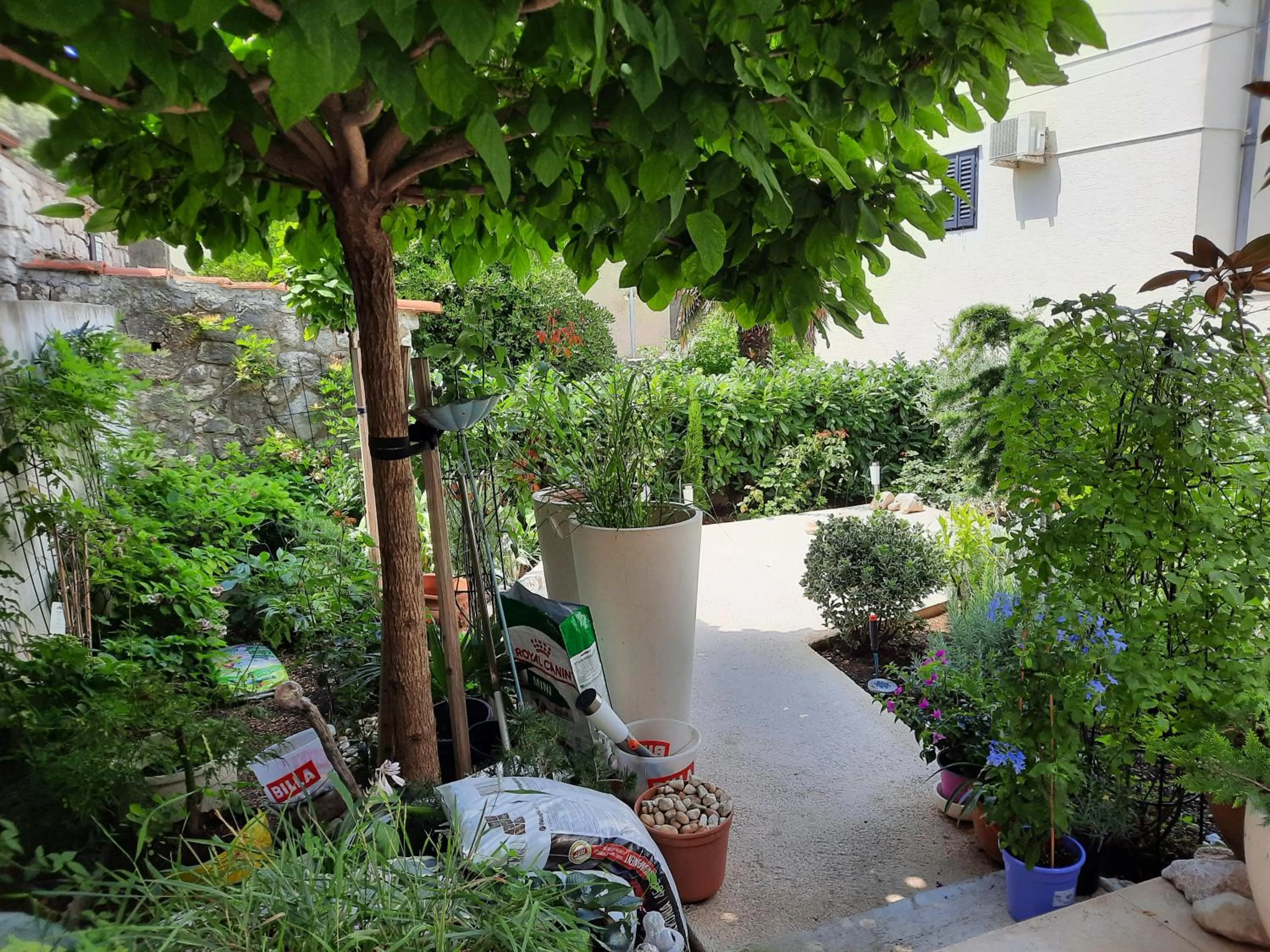 Garden in Villetta Nautica Faggioni