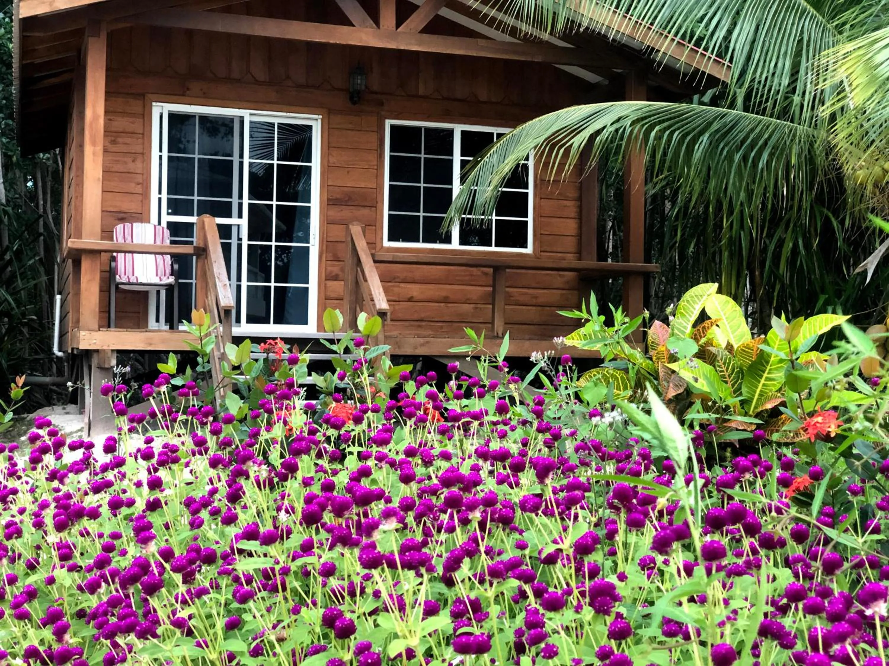 Garden view in Seaside Chateau Resort