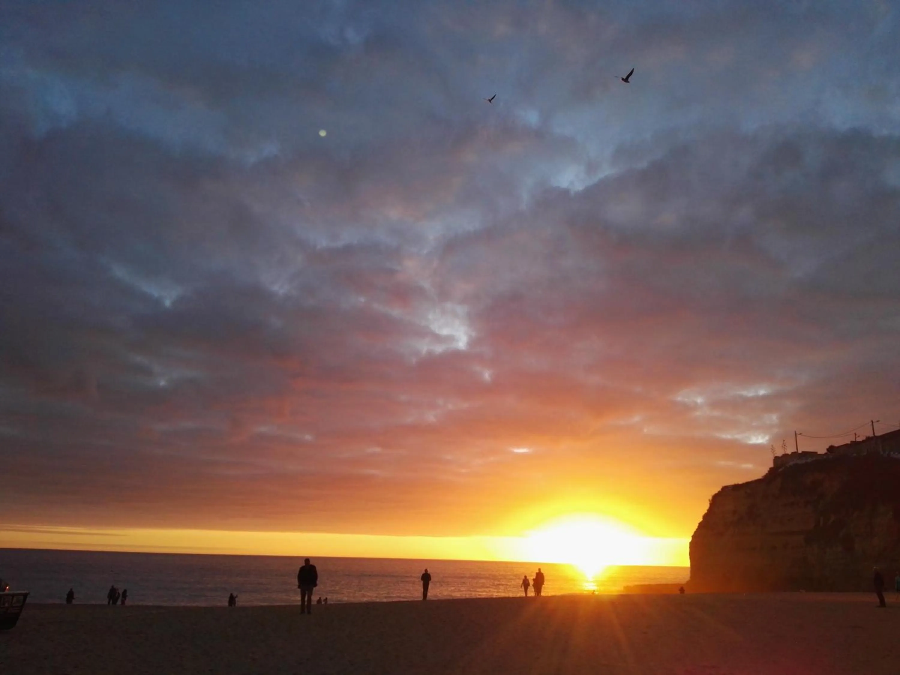 Temple Suites Guesthouse