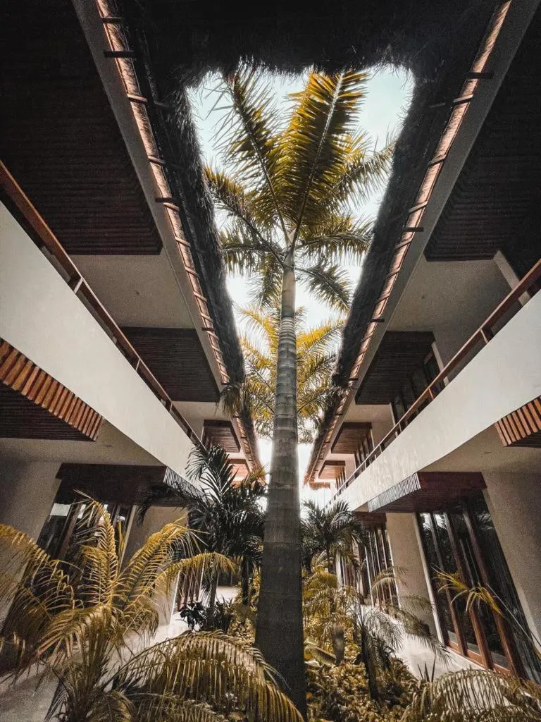 Garden in Hotel Casa Margot