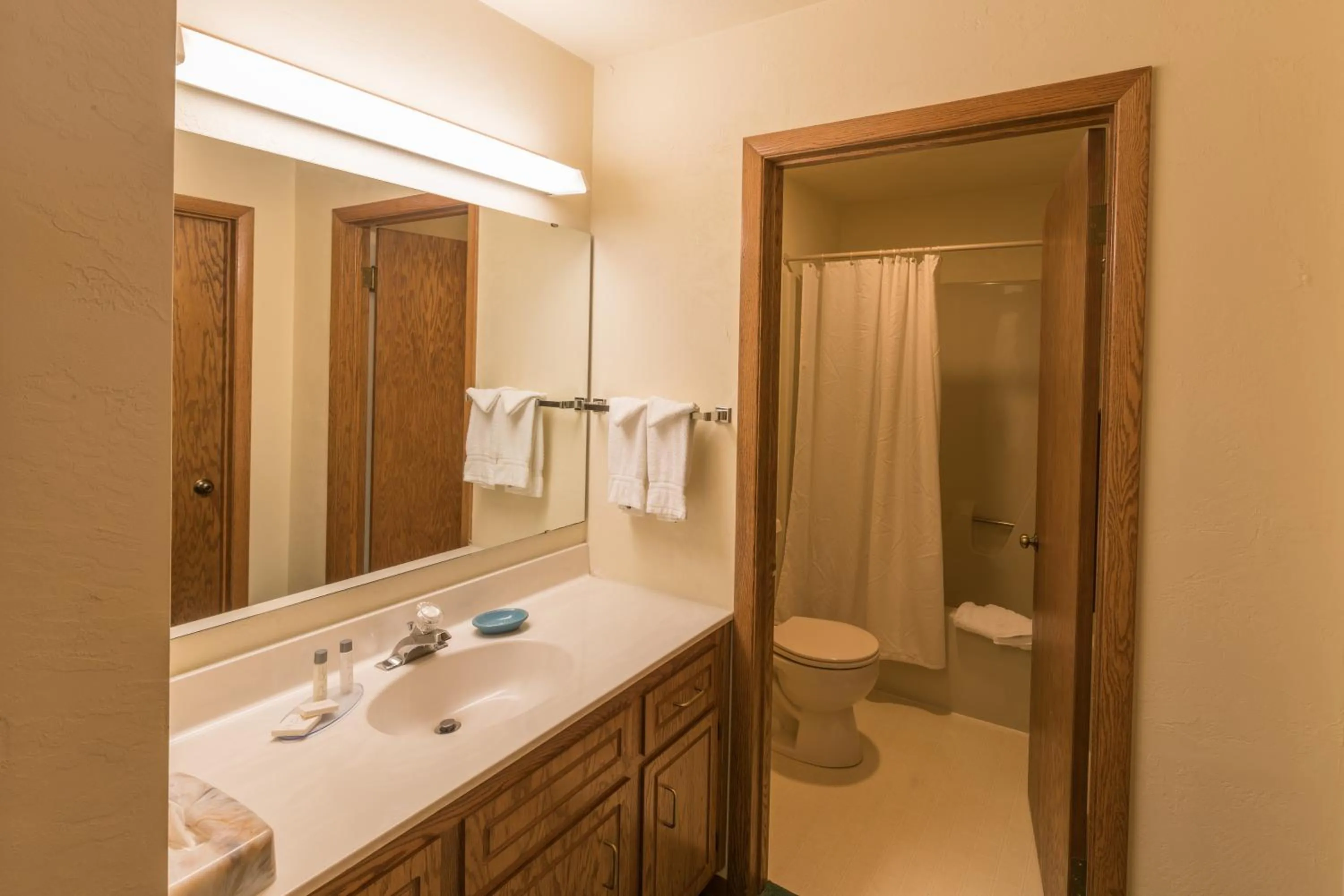 Bathroom in Somerset Inn & Suites