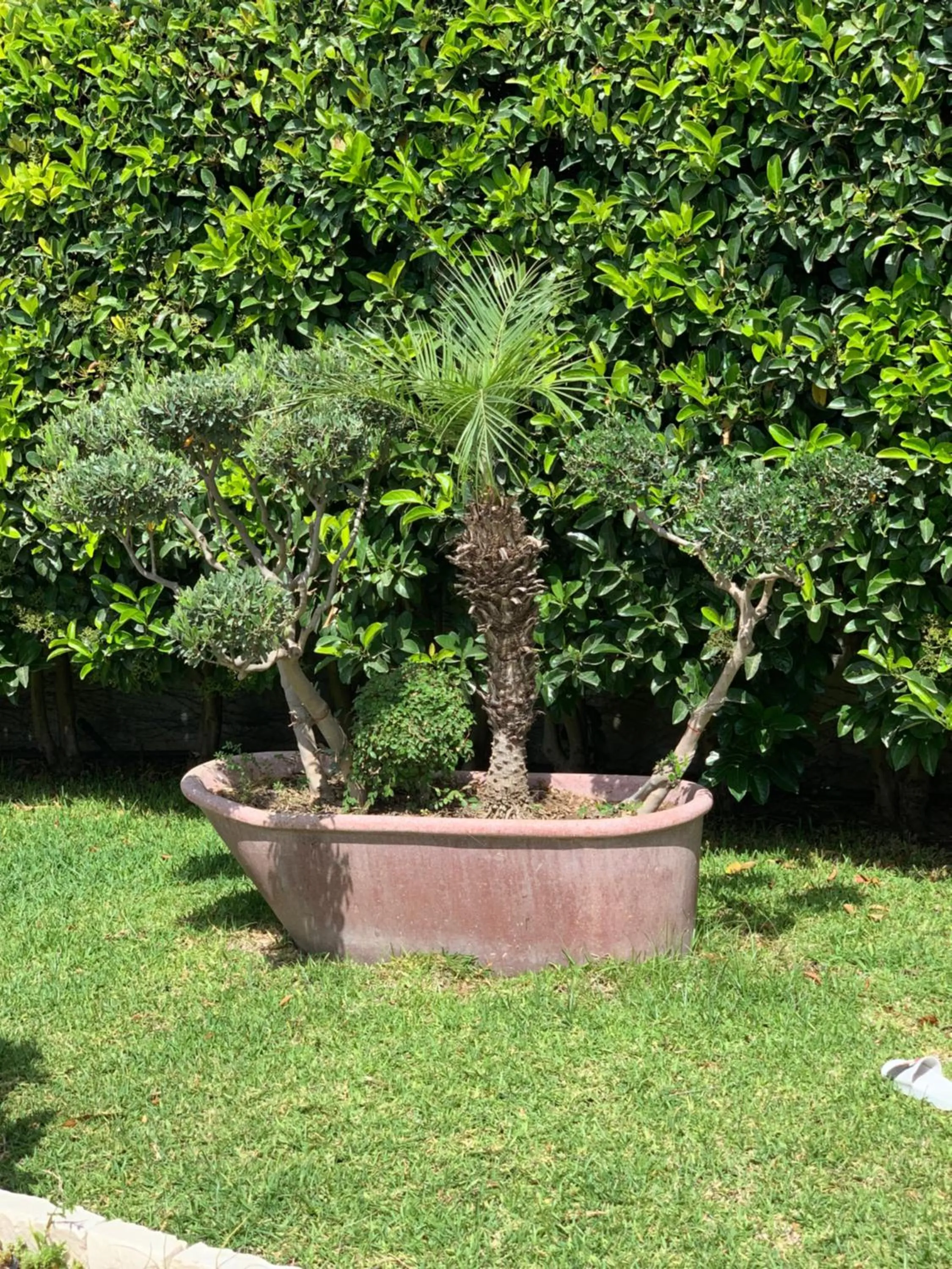 Affitta camere Vittoria House