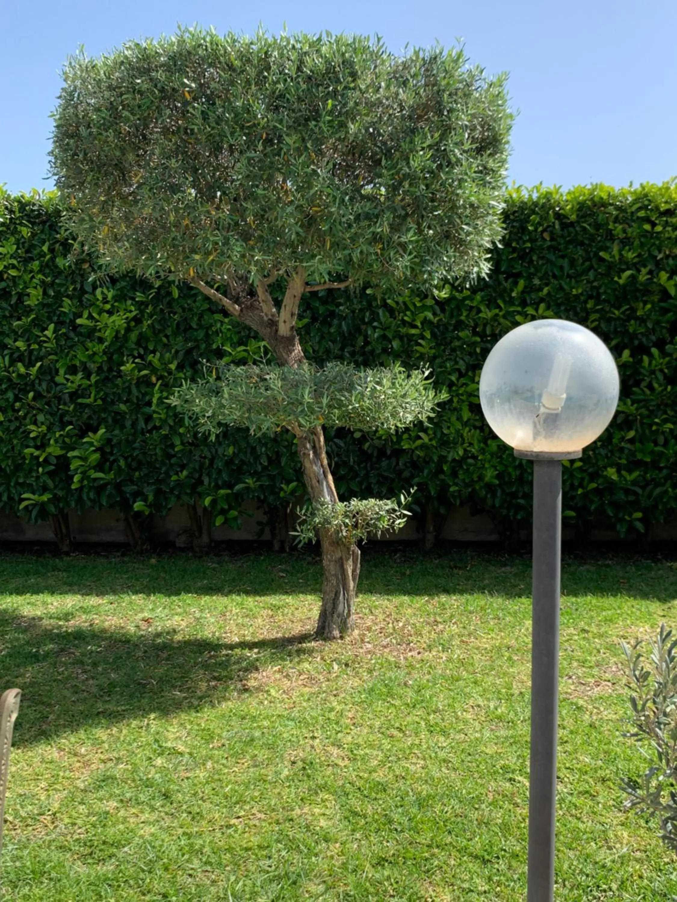 Affitta camere Vittoria House